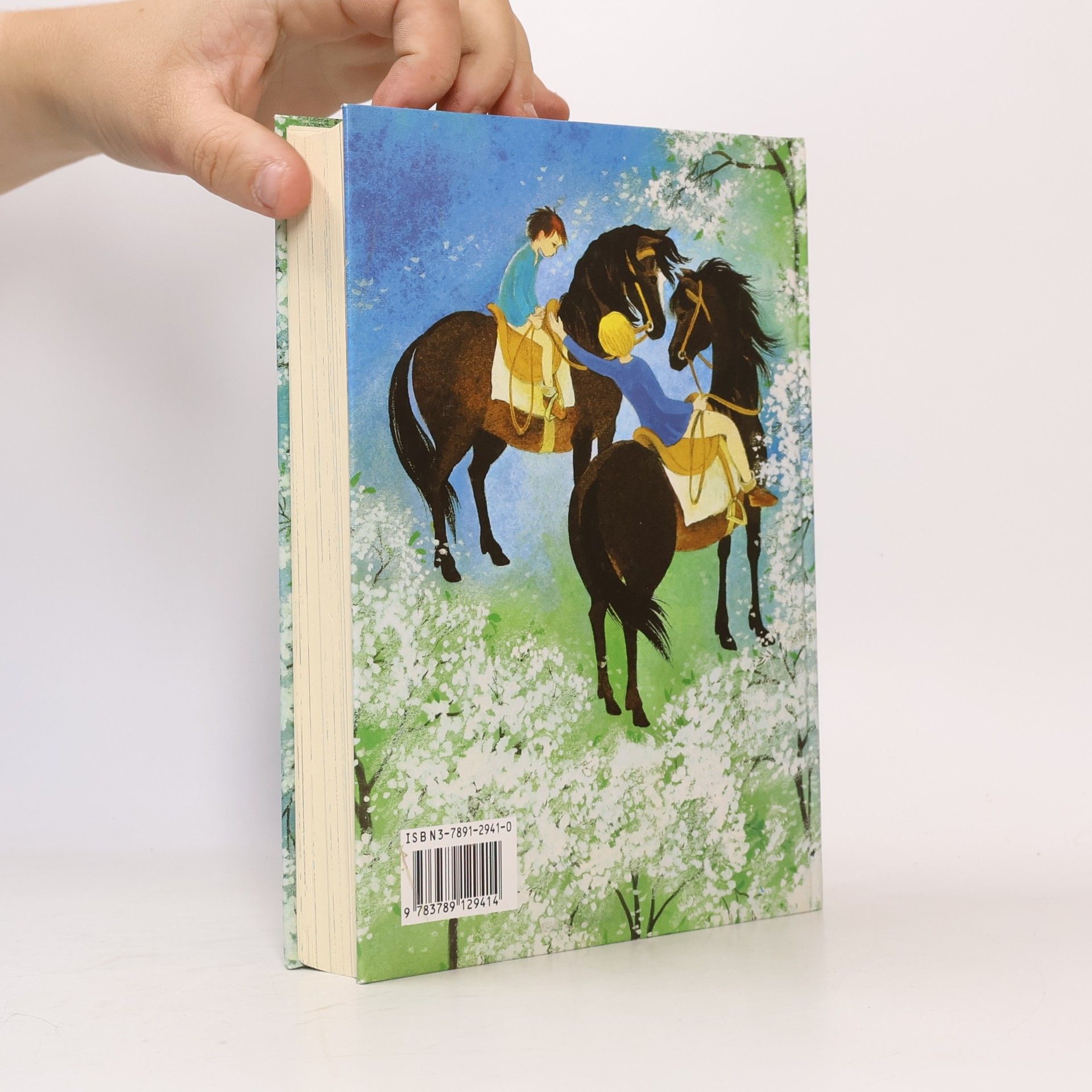 Astrid Lindgren Die Brüder Löwenherz