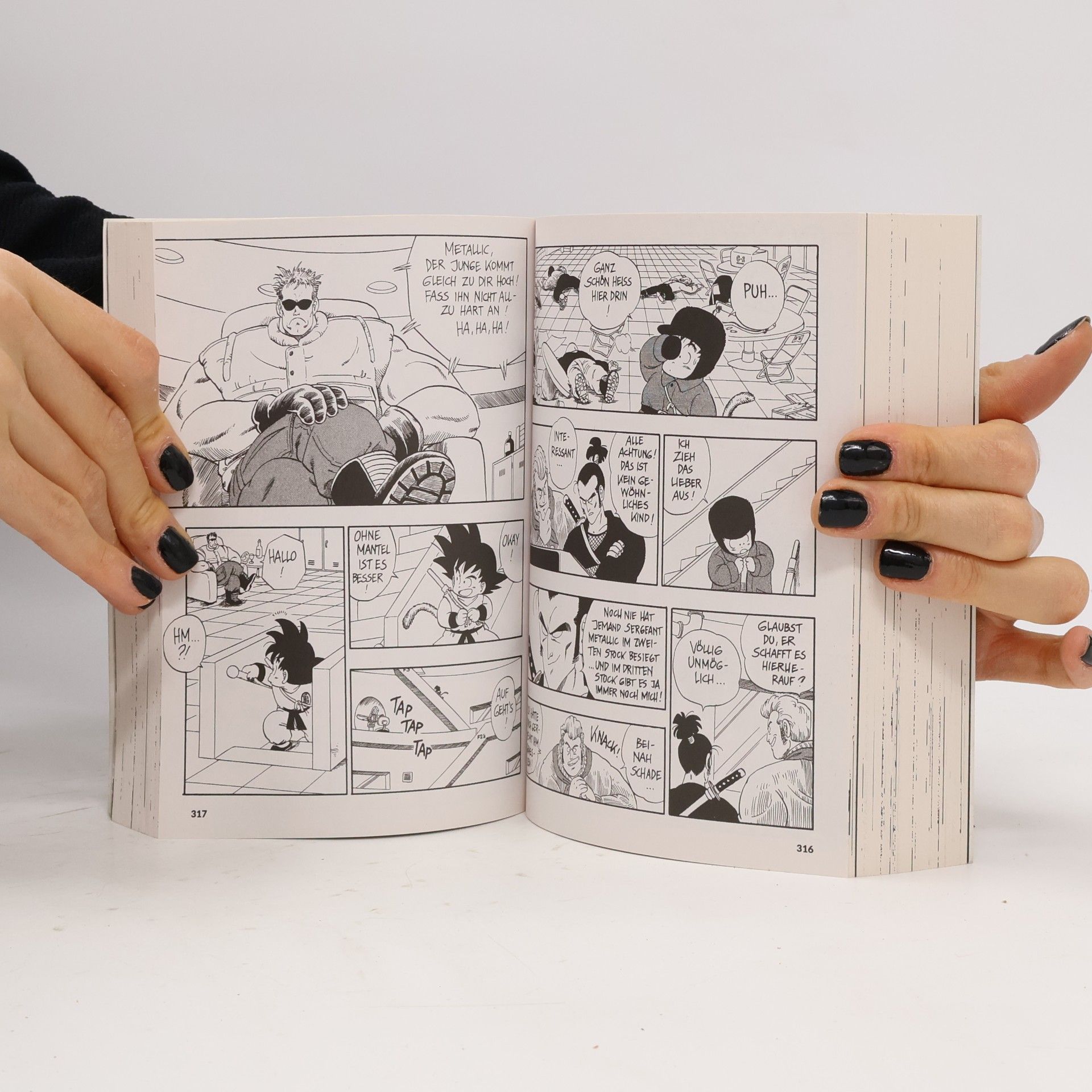 Akira Toriyama Dragon Ball Massiv 2