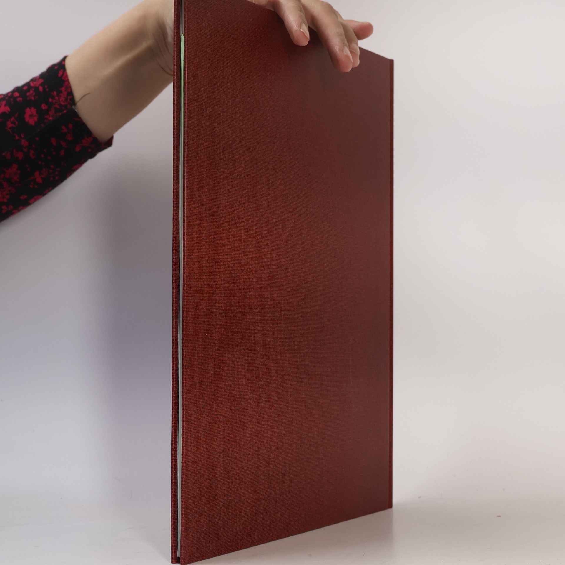 Marie Niedner Das Buch der Haus-Schneiderei