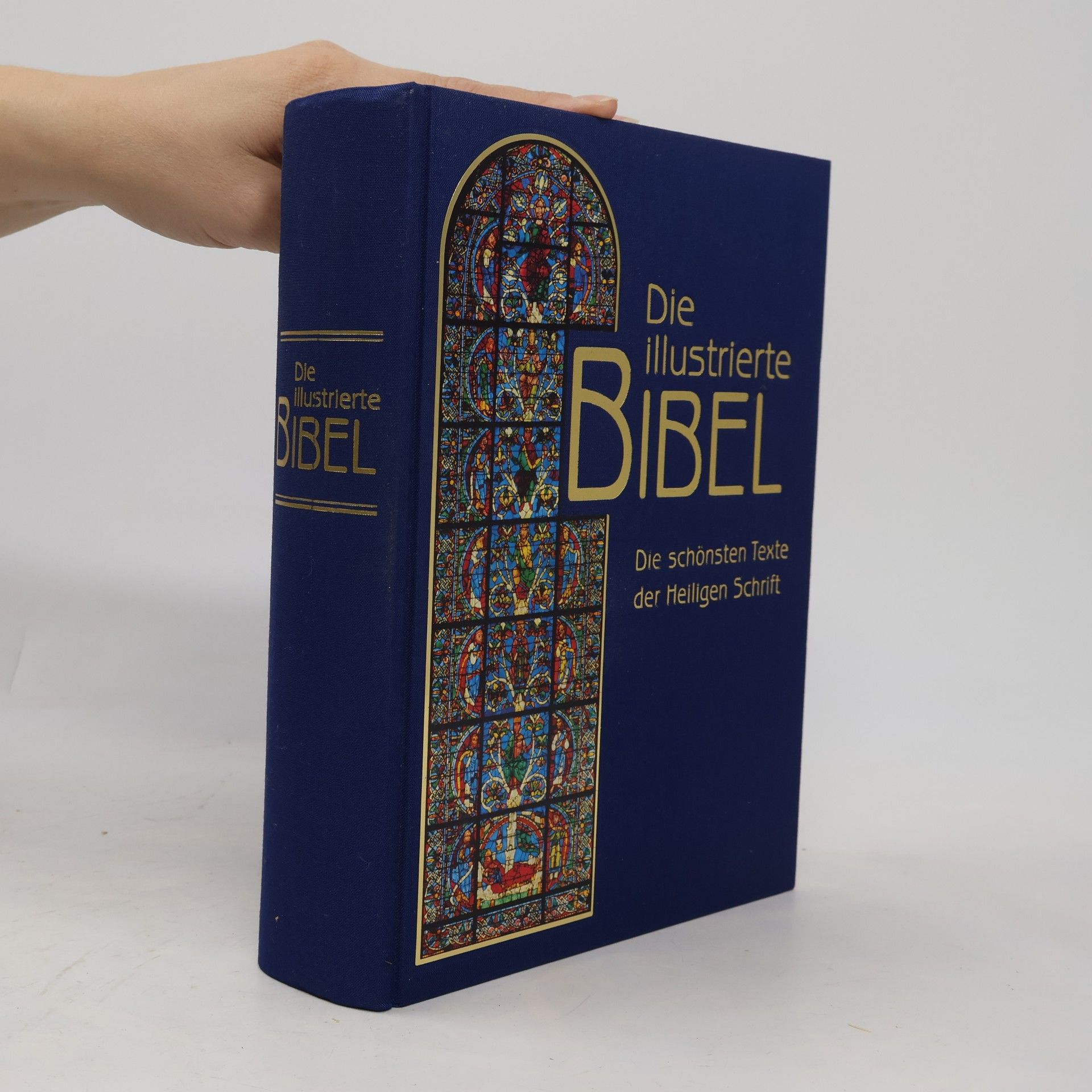Falko Spiller Die illustrierte Bibel