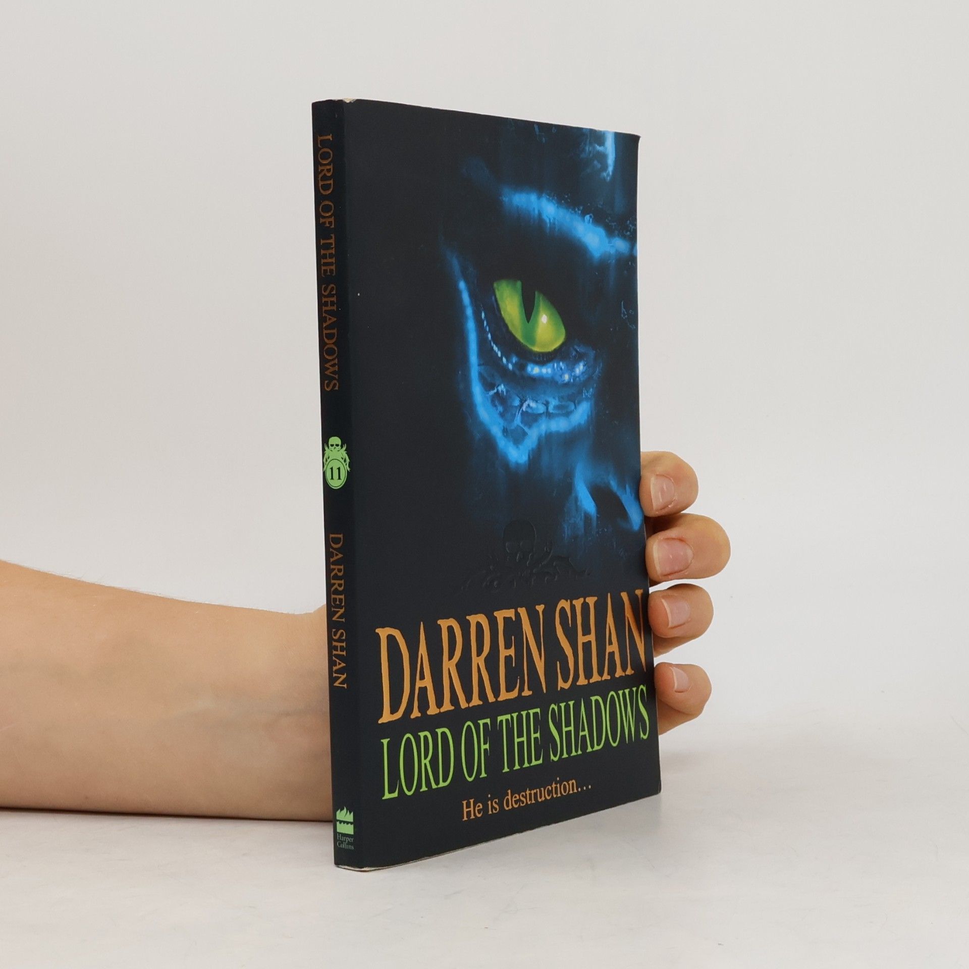Darren O. Shaughnessy Lord of the Shadows