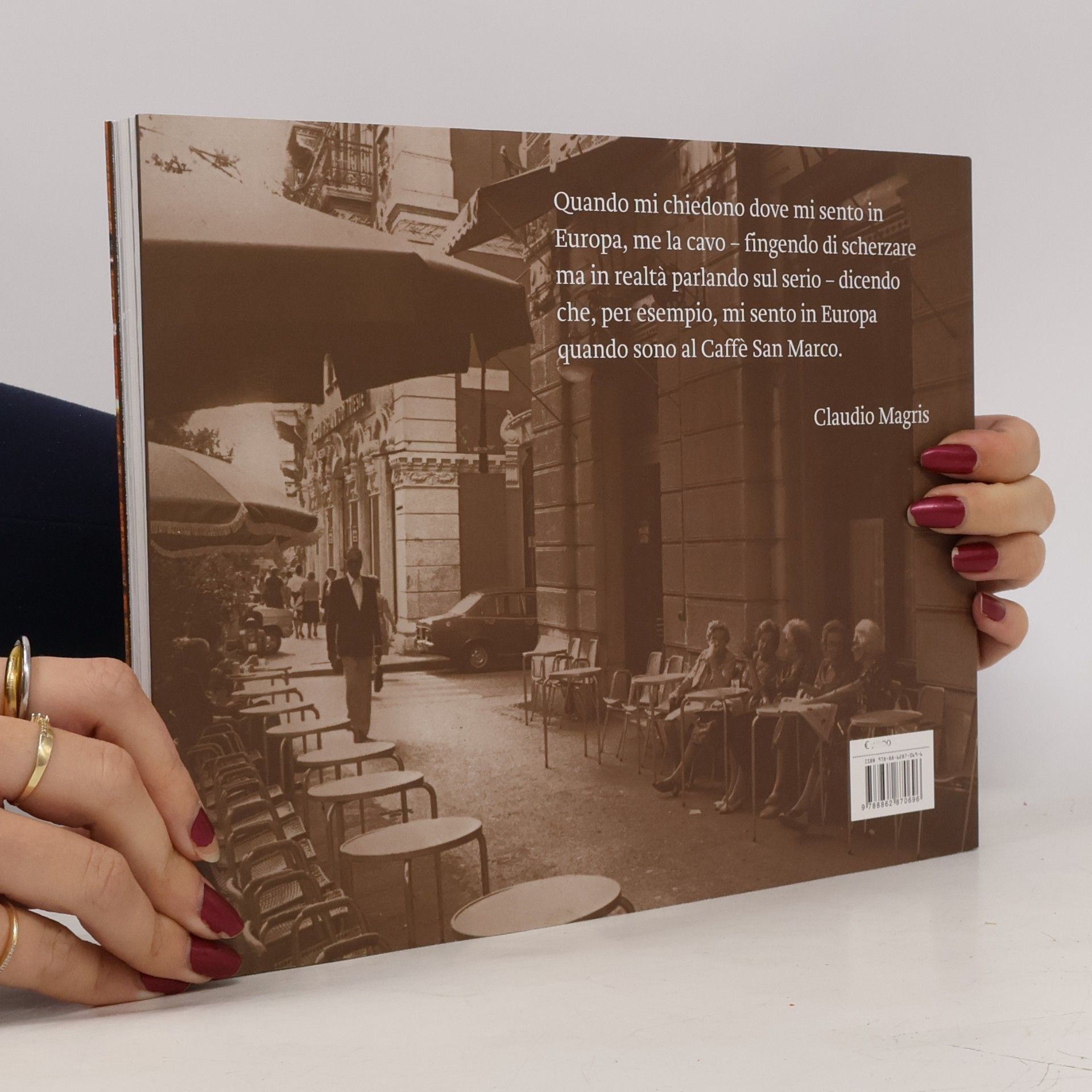 Stelio Vinci Caffè San Marco. Un secolo di storia e cultura a Trieste 1914-2014