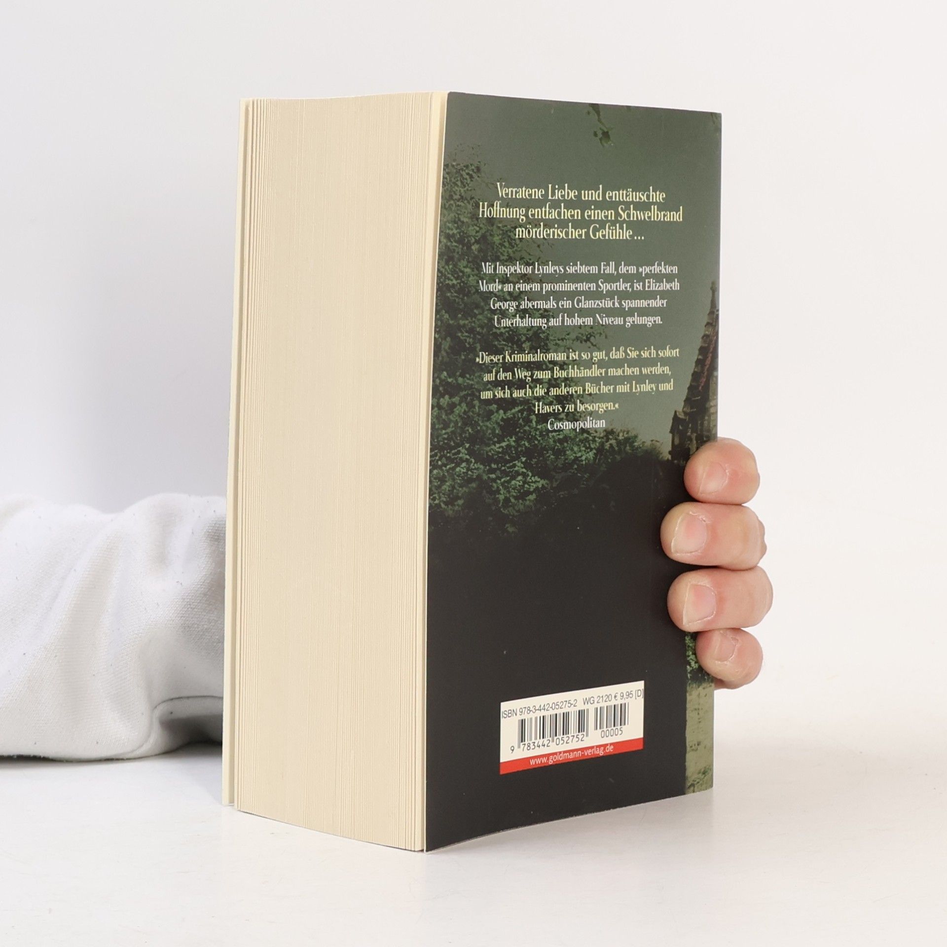 Elizabeth George Asche zu Asche