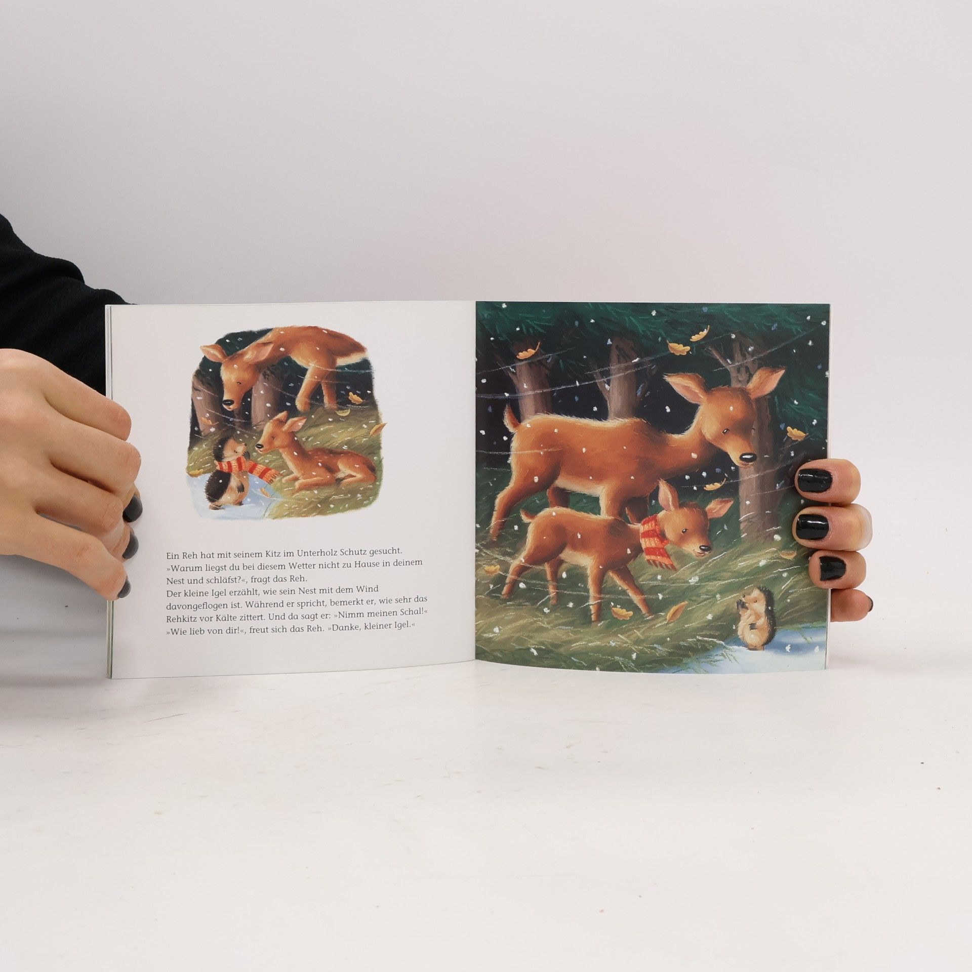 Christina M. Butler Der kleine Igel und das große Geschenk