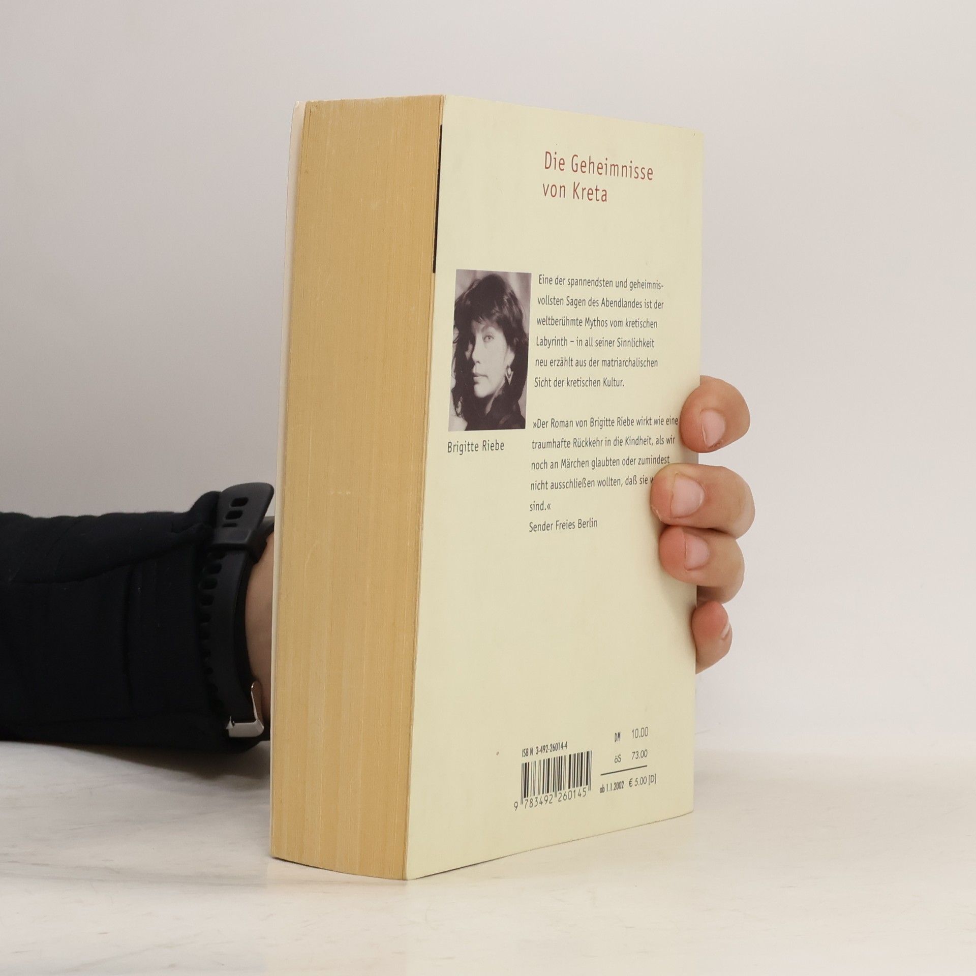 Brigitte Riebe Palast der blauen Delphine