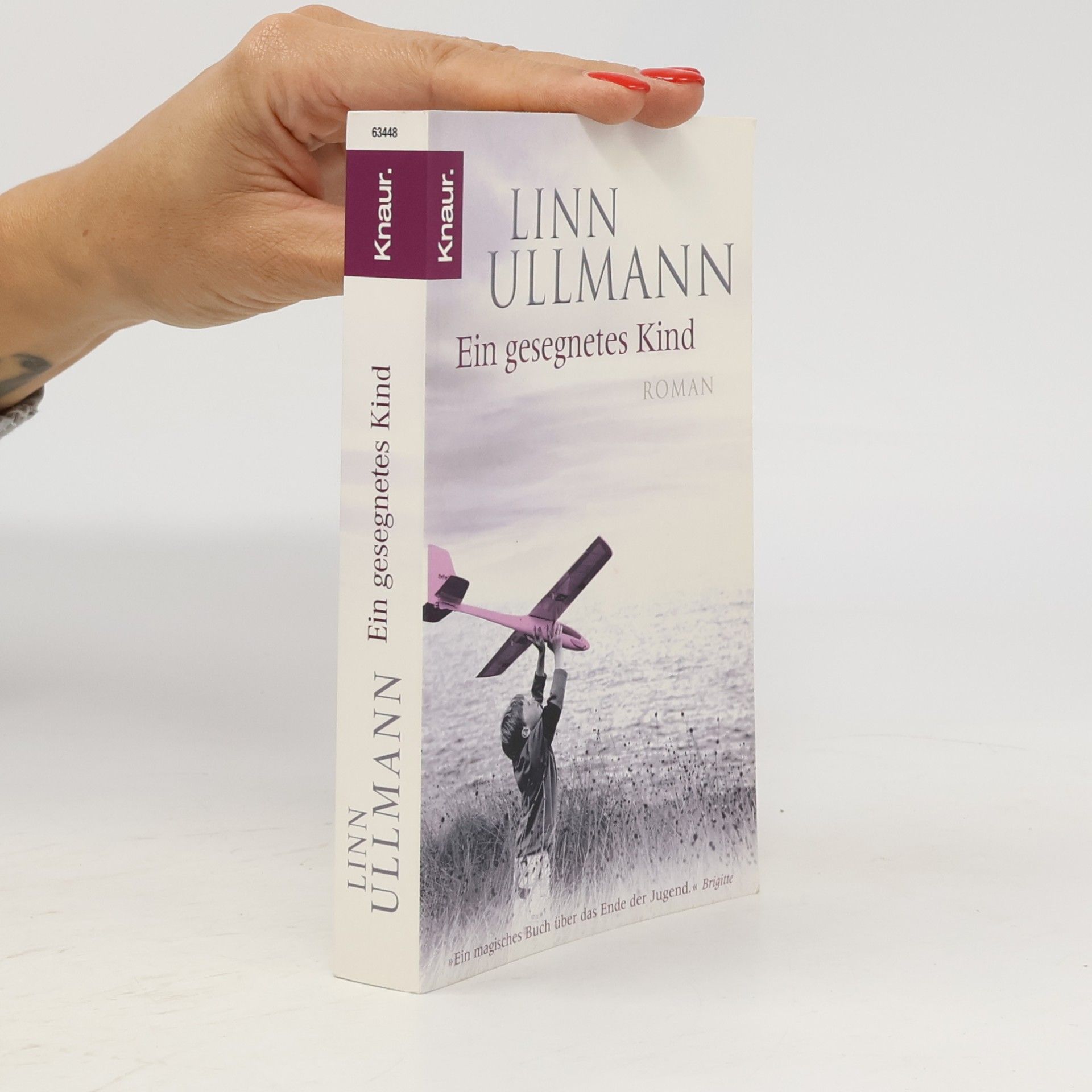 Linn Ullmann Ein gesegnetes Kind