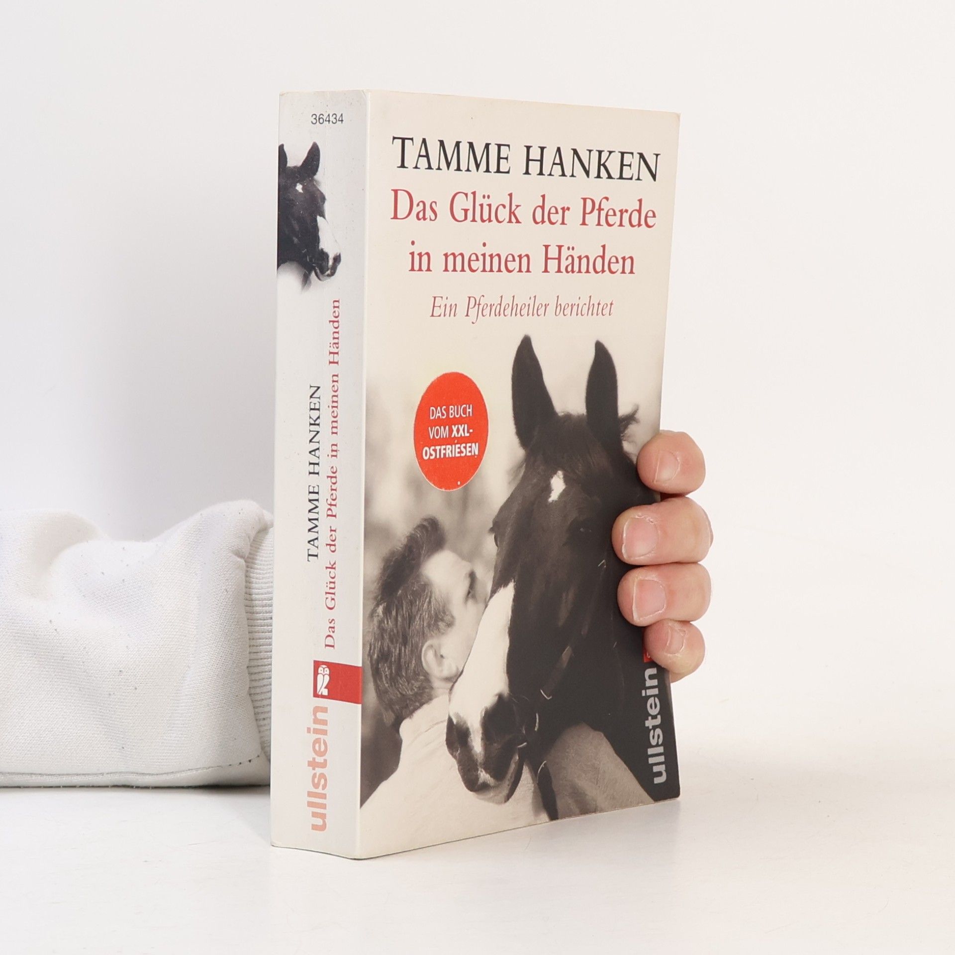 Das Glück der Pferde in meinen Händen