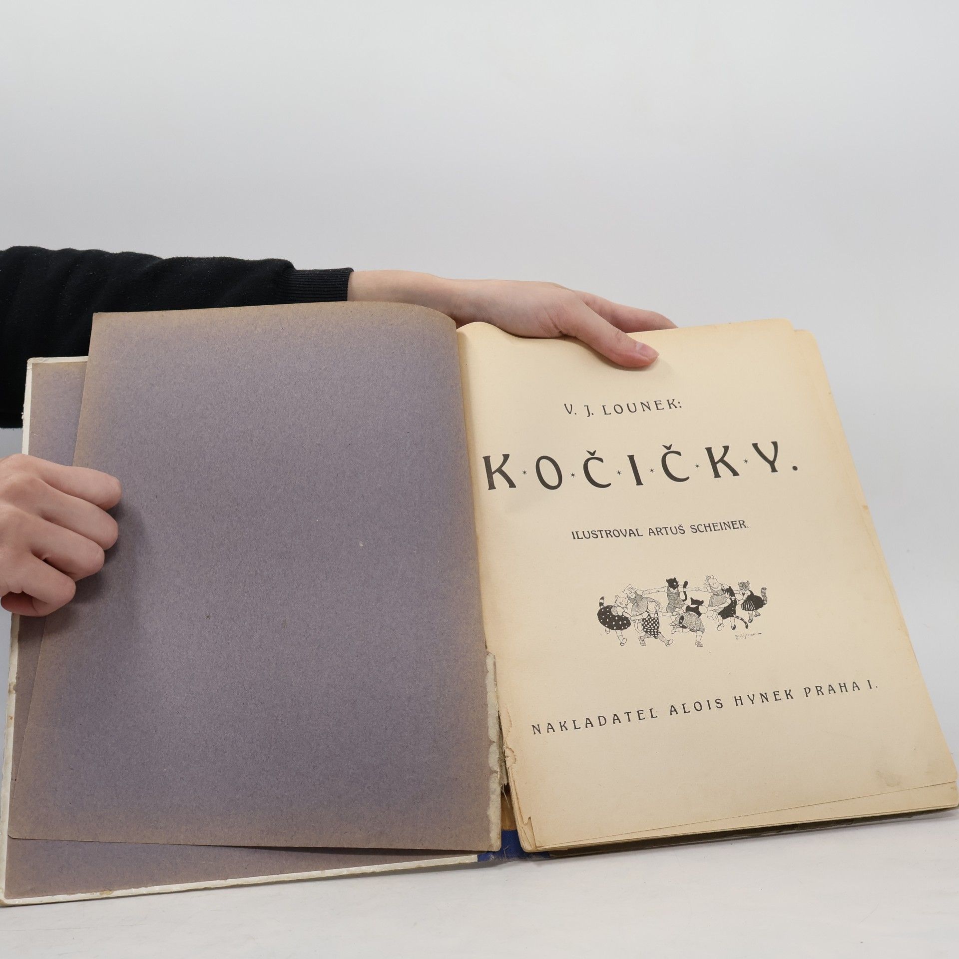 V. J. Lounek Kočičky