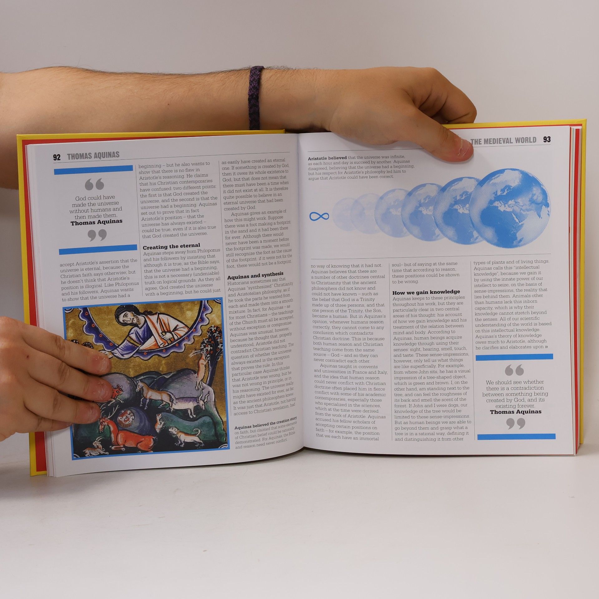 Will Buckingham The philosophy book
