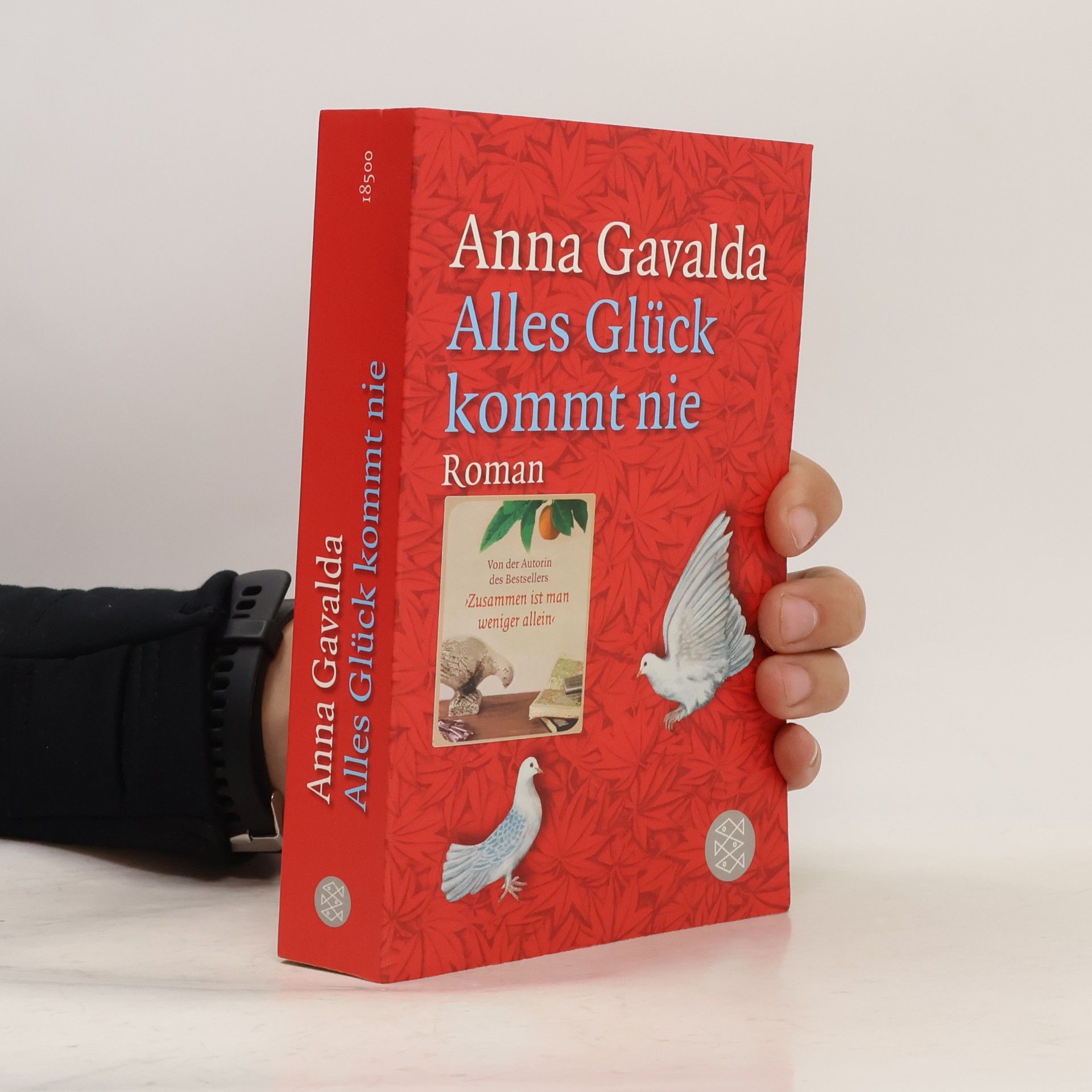 Anna Gavalda Alles Glück kommt nie