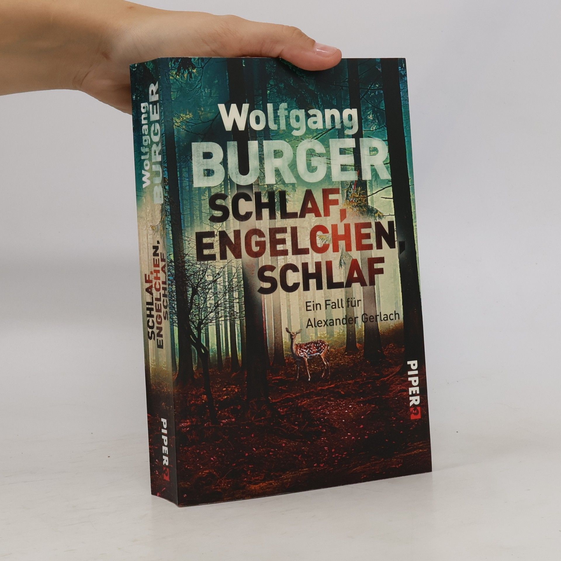 Wolfgang Burger Schlaf, Engelchen, schlaf