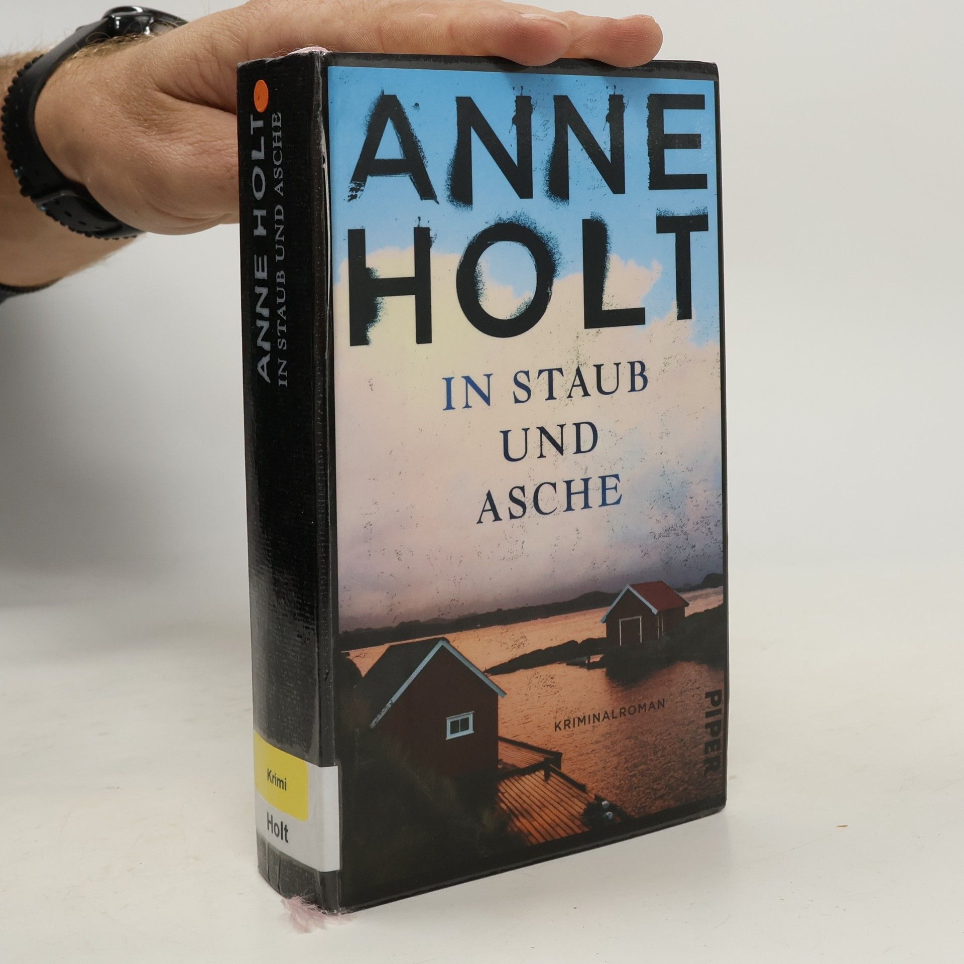 Anne Holt In Staub und Asche