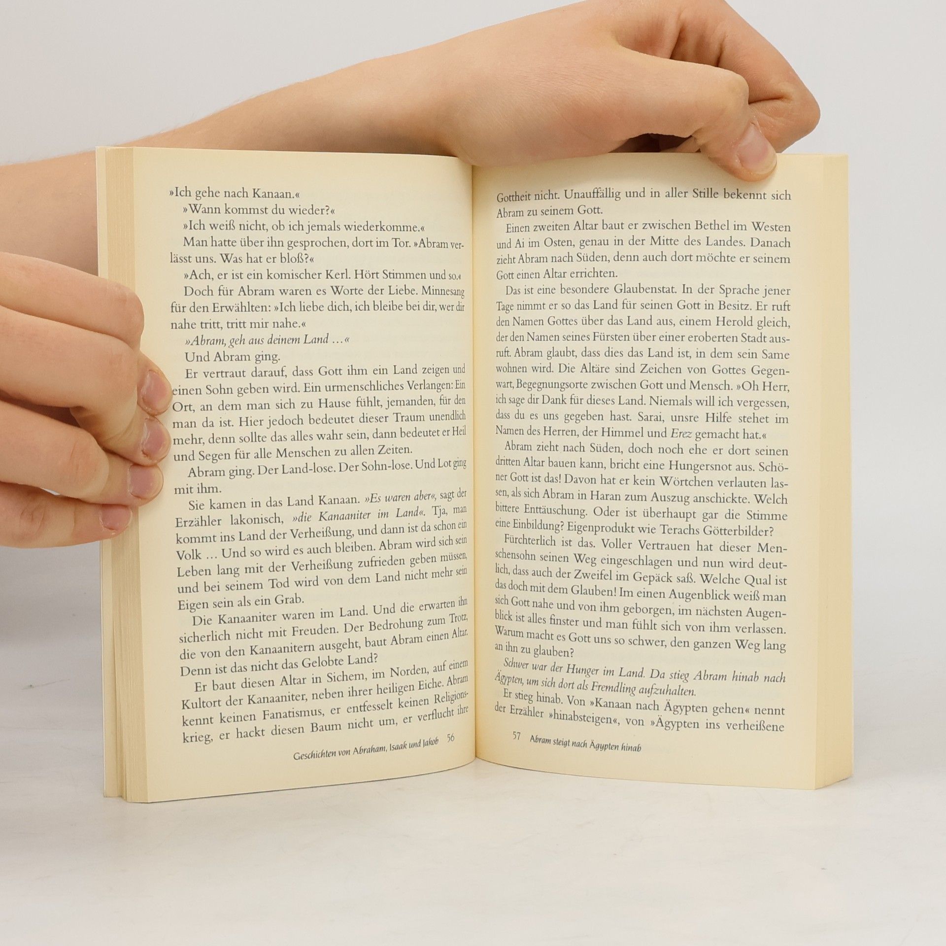 Nico ter Linden Die schönsten Geschichten der Bibel