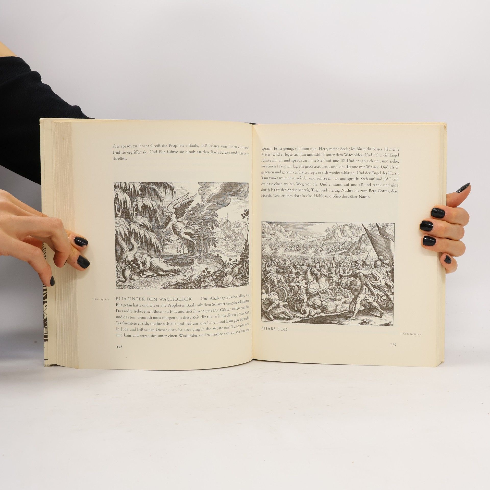 Matthaeus Merian Die Bilder zur Bibel