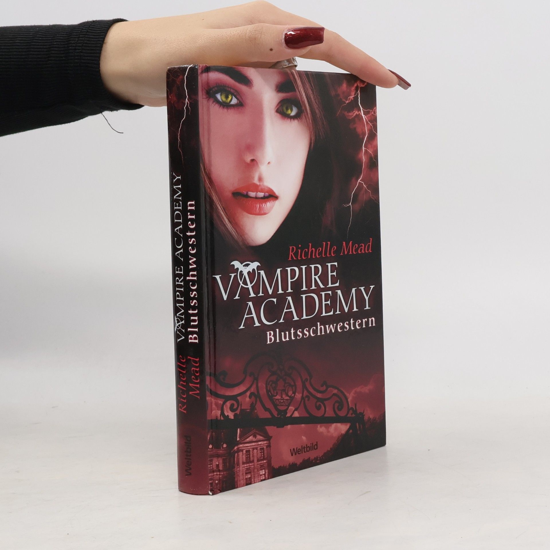 Richelle Mead Vampire Academy. Blutsschwestern