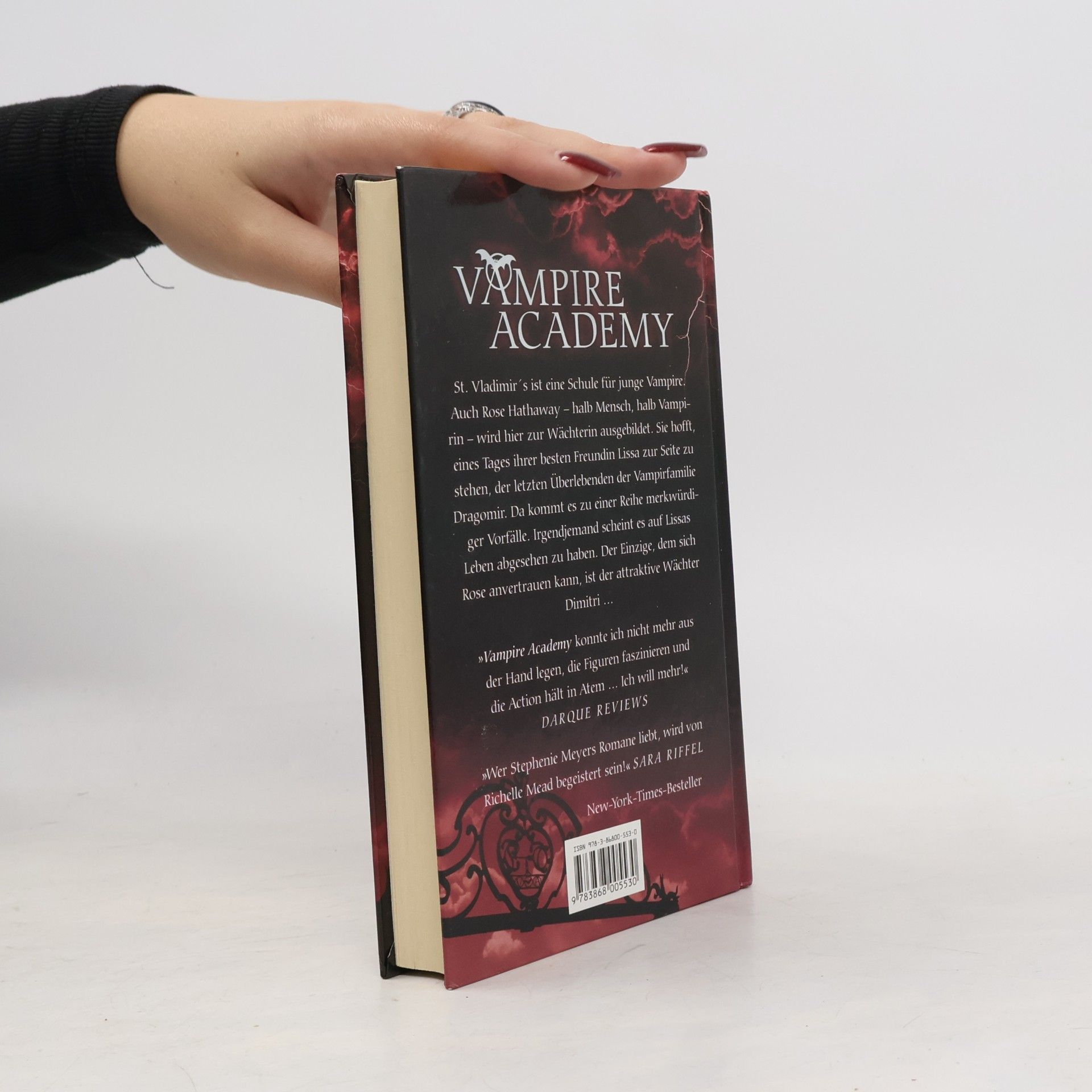 Richelle Mead Vampire Academy. Blutsschwestern