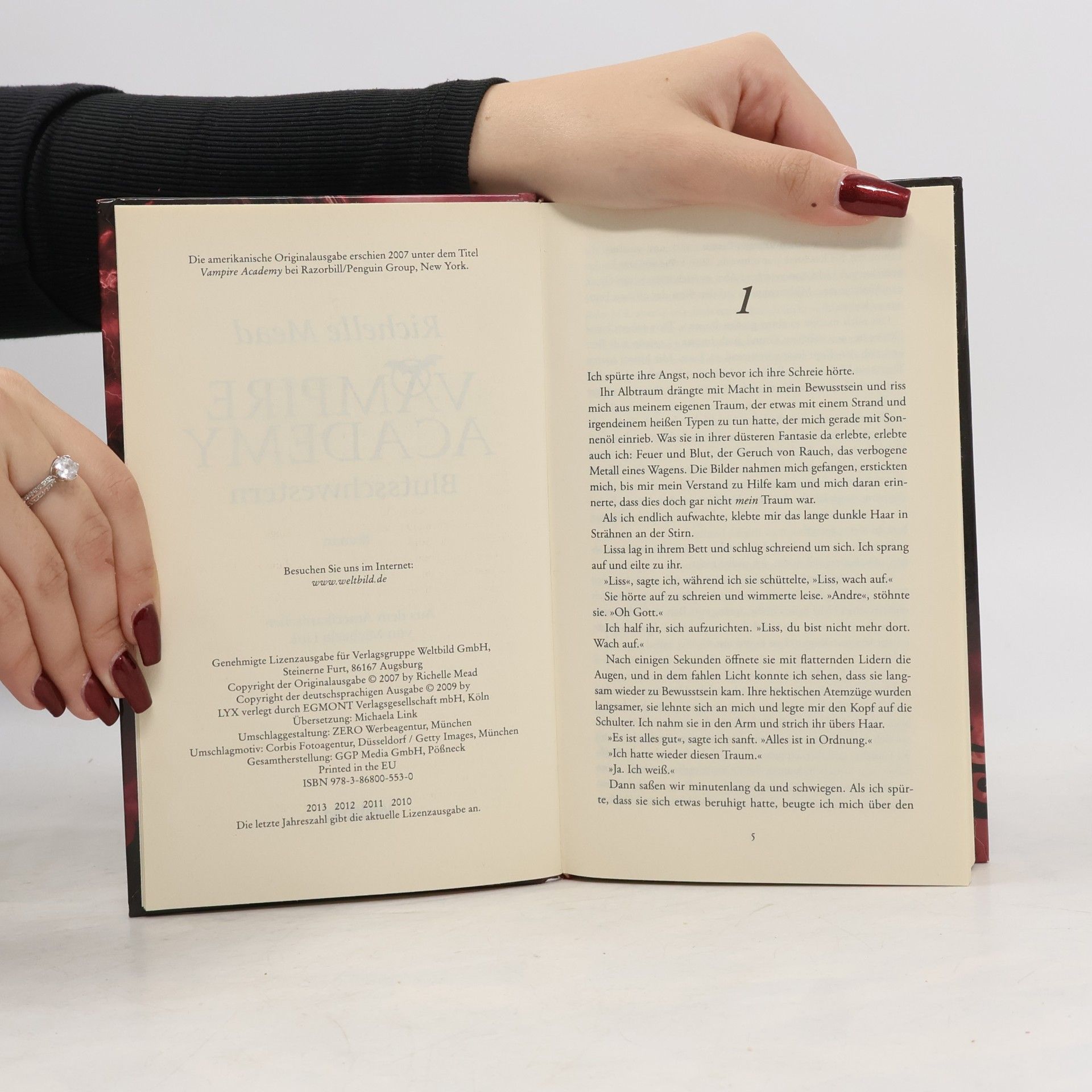 Richelle Mead Vampire Academy. Blutsschwestern