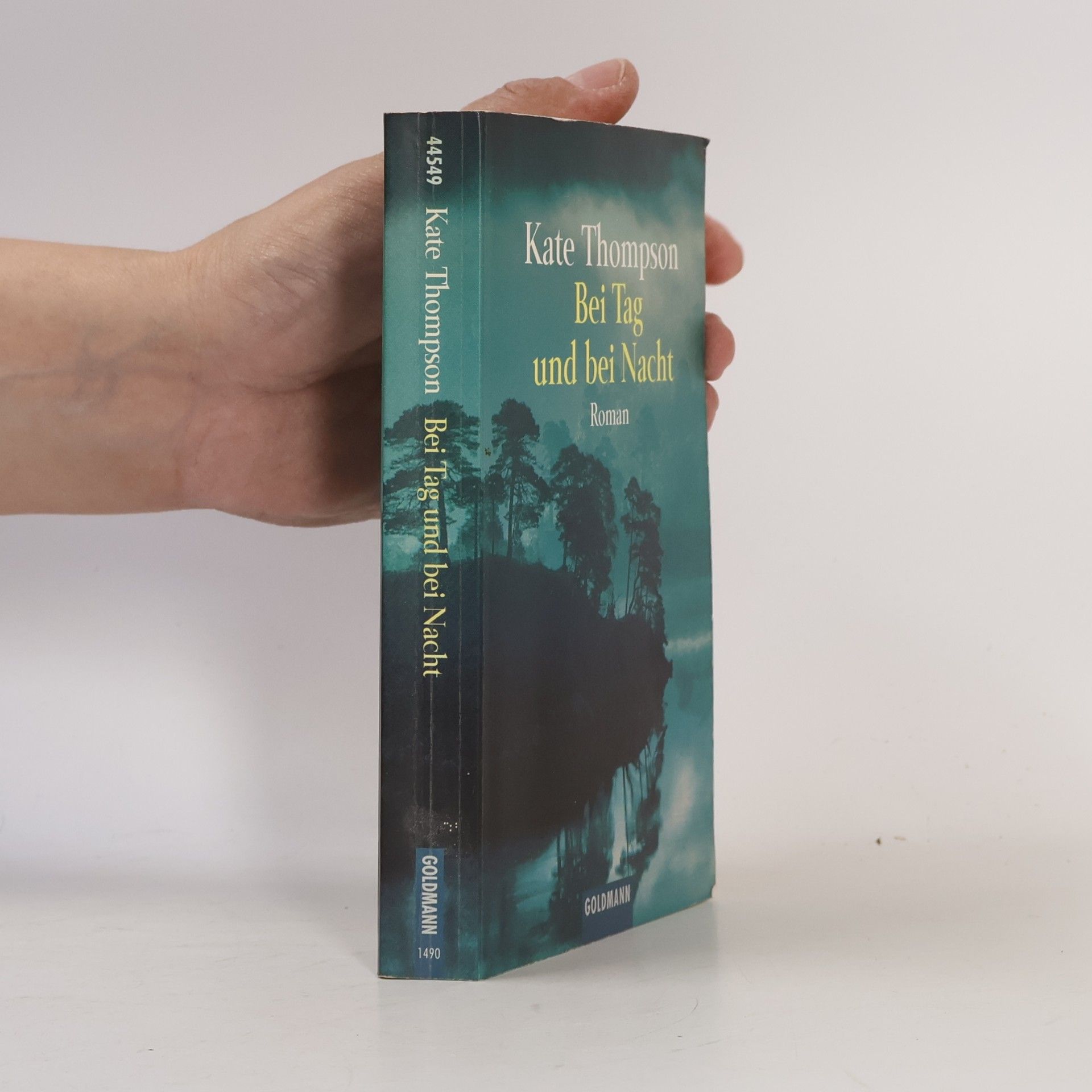 Kate Thompson Bei Tag und bei Nacht. Roman. Aus d. Engl. v. Andrea Schröder