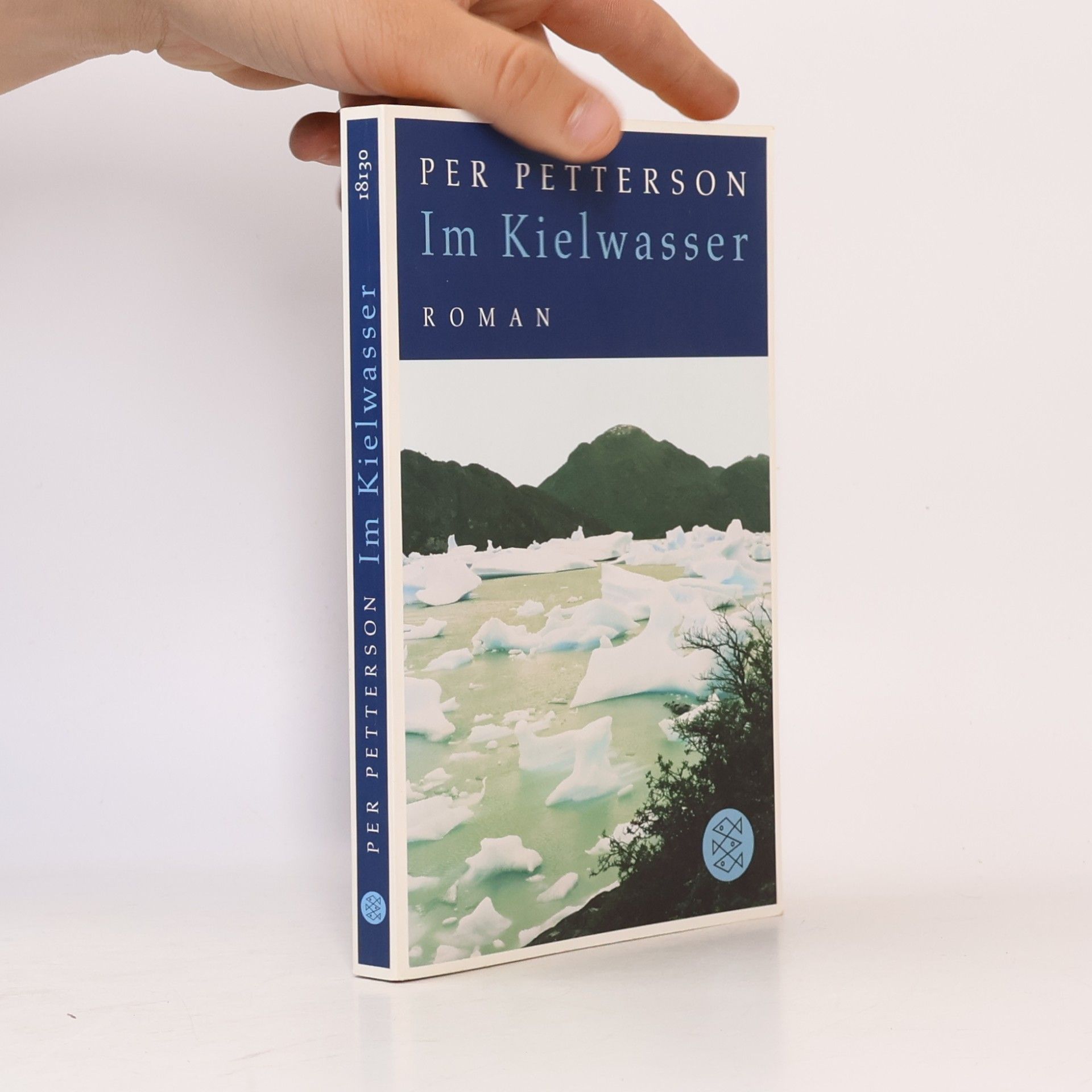 Per Petterson Im Kielwasser