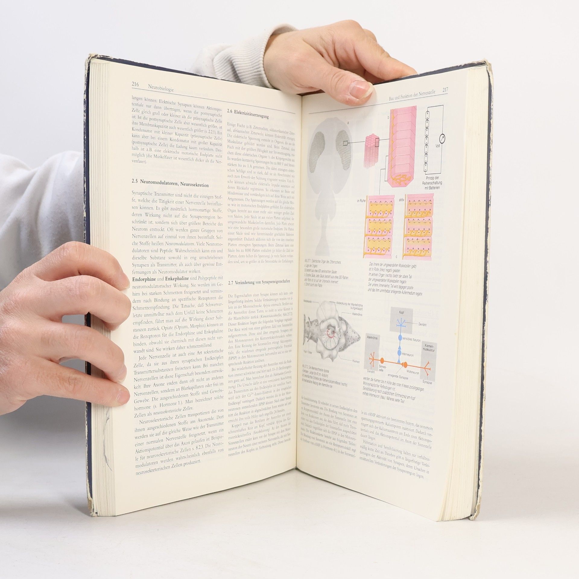 Hermann Linder Linder Biologie Lehrbuch für die Oberstufe