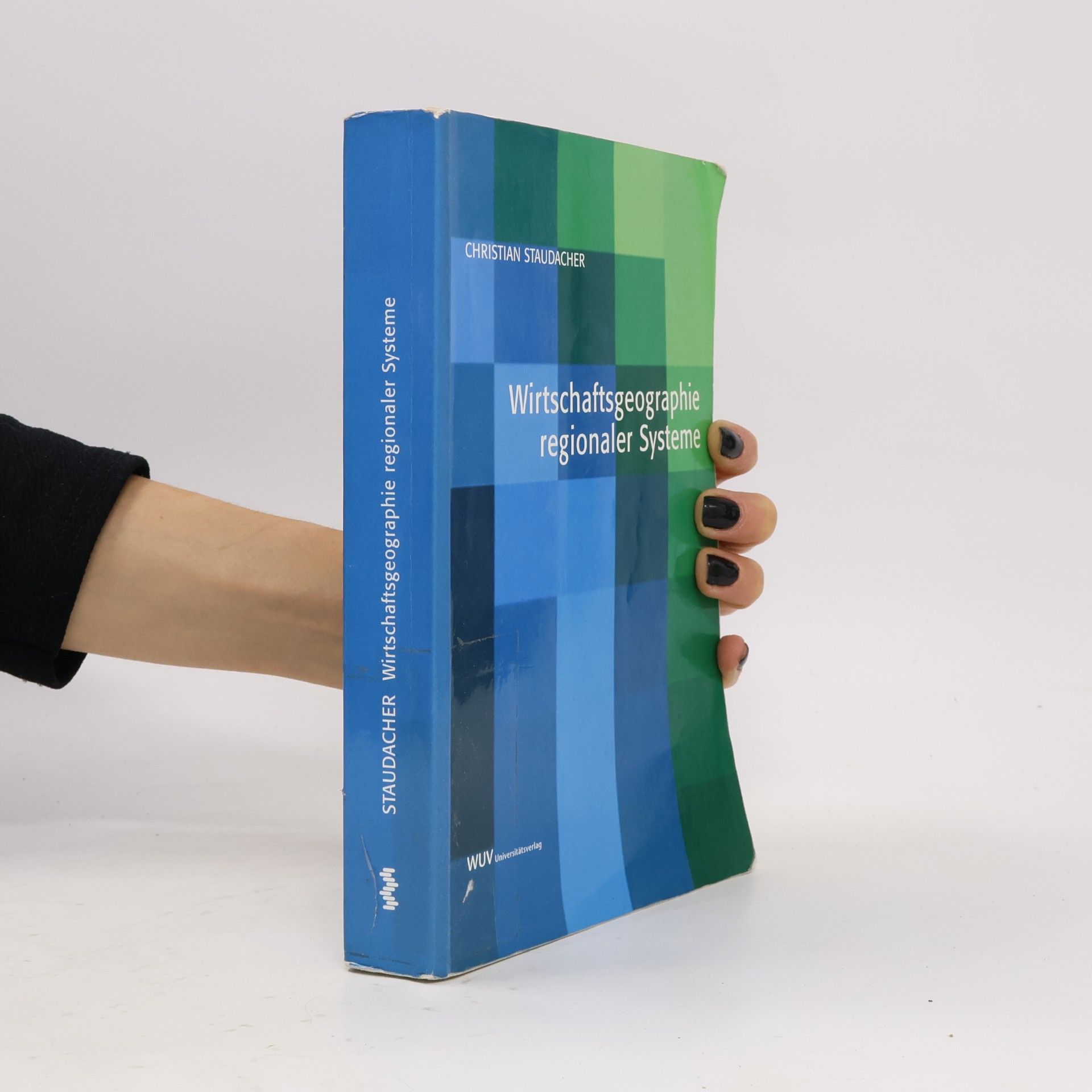 Wirtschaftsgeographie regionaler Systeme