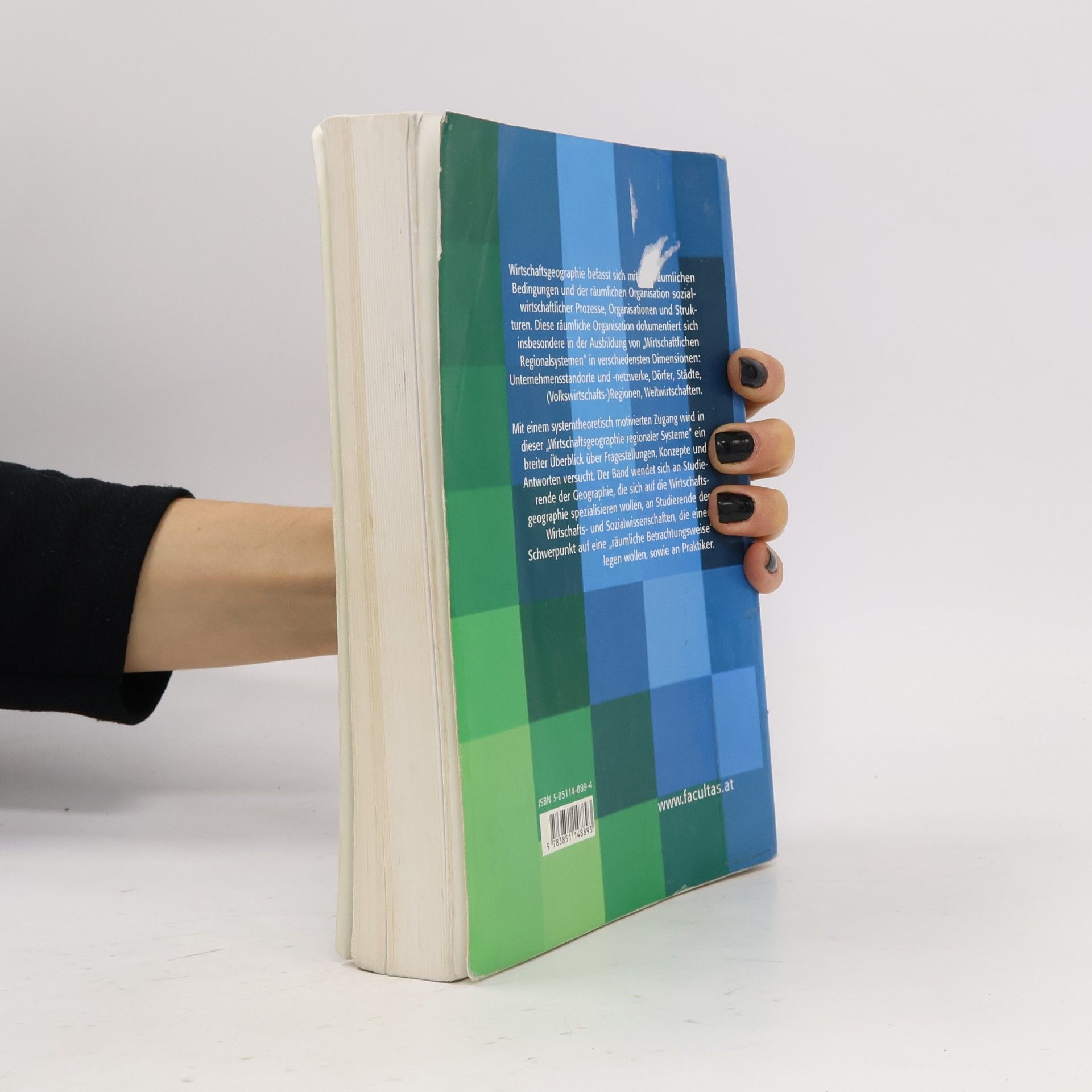 Christian Staudacher Wirtschaftsgeographie regionaler Systeme