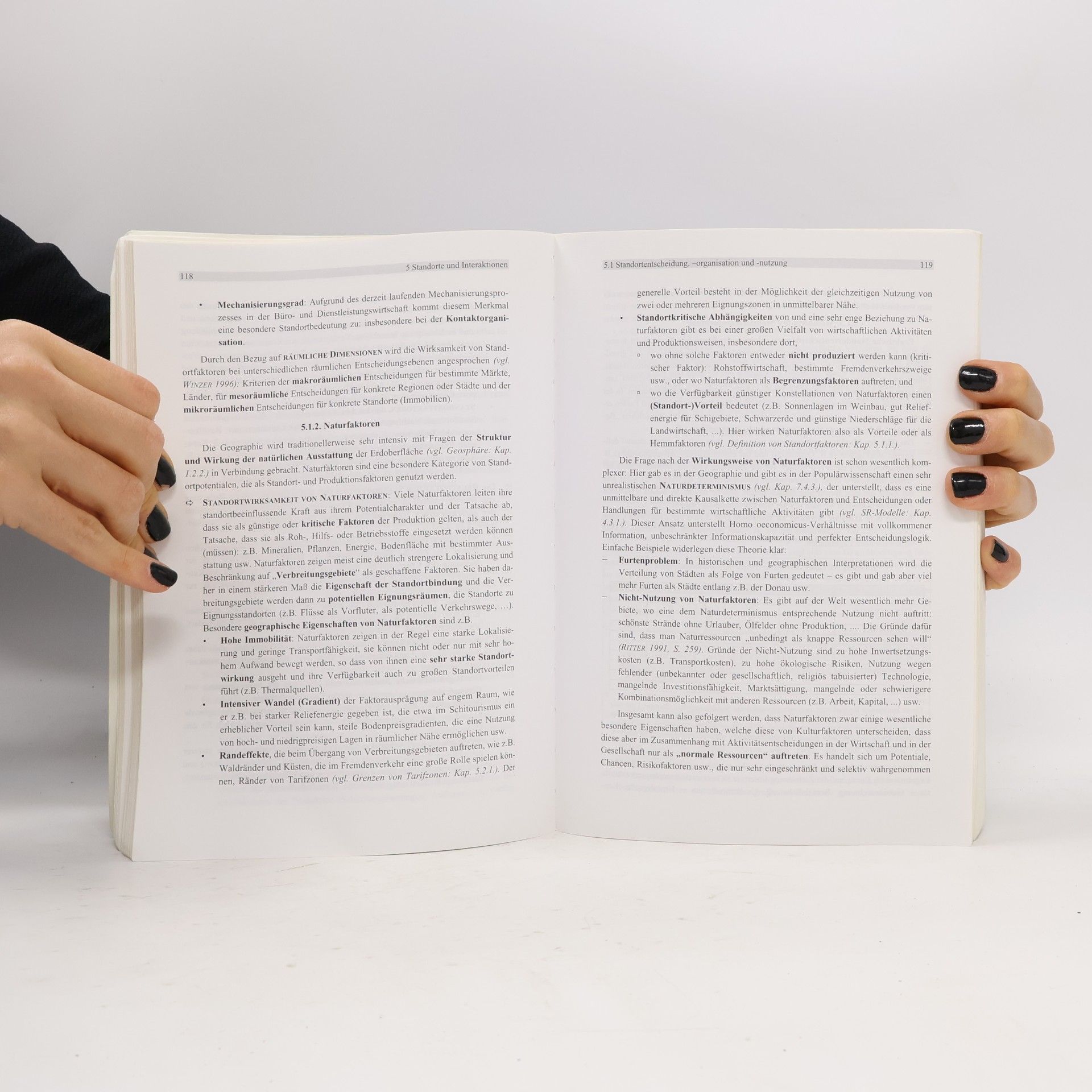 Christian Staudacher Wirtschaftsgeographie regionaler Systeme