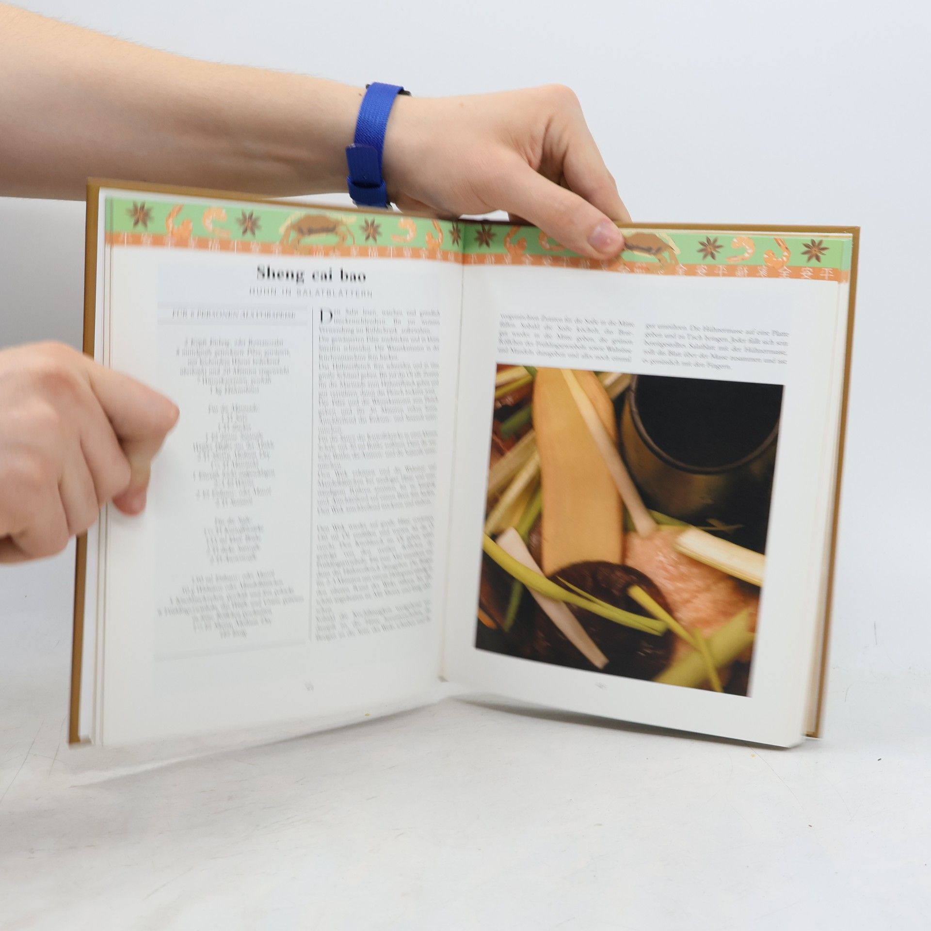 Michael Vonau Das chinesische Kochbuch