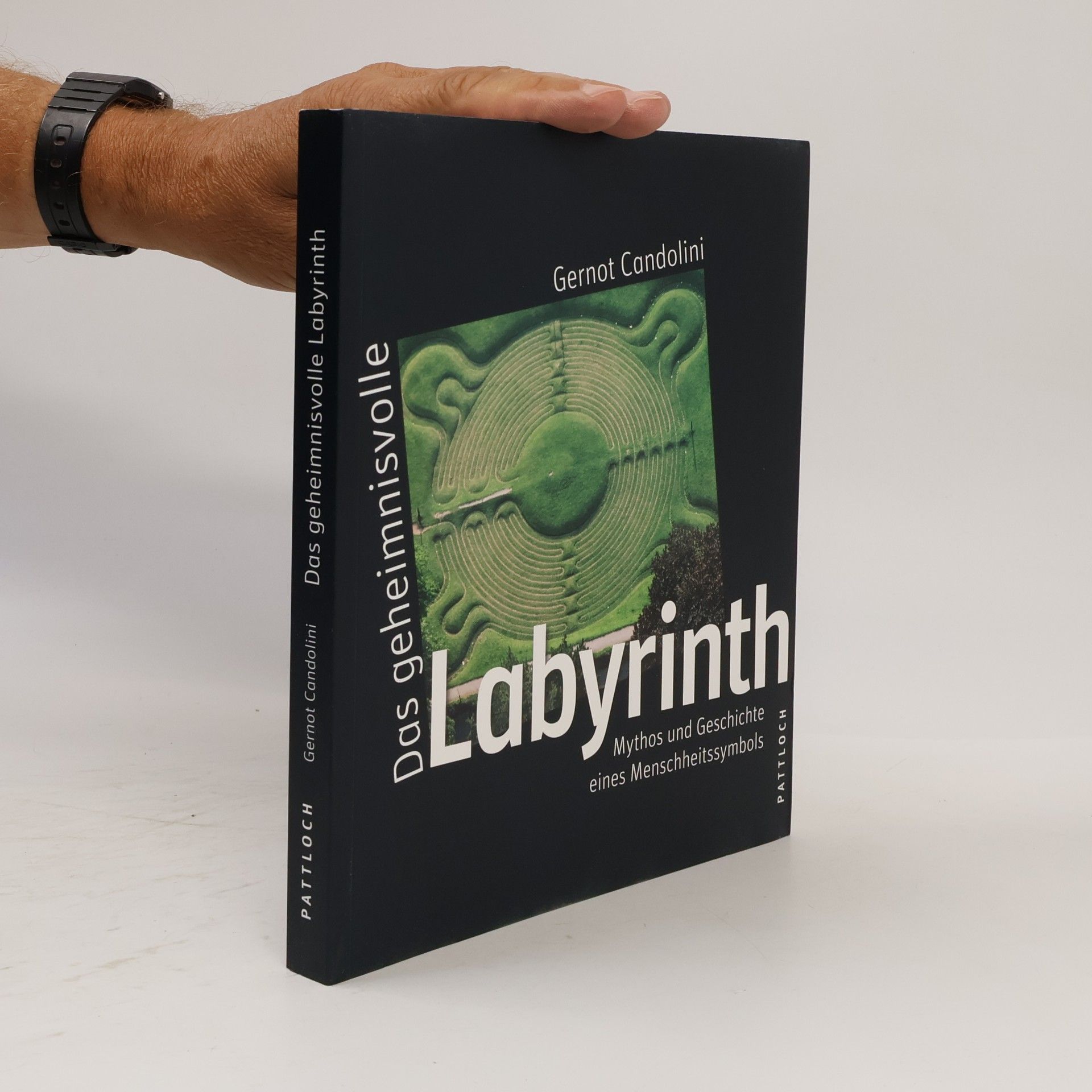 Das geheimnisvolle Labyrinth