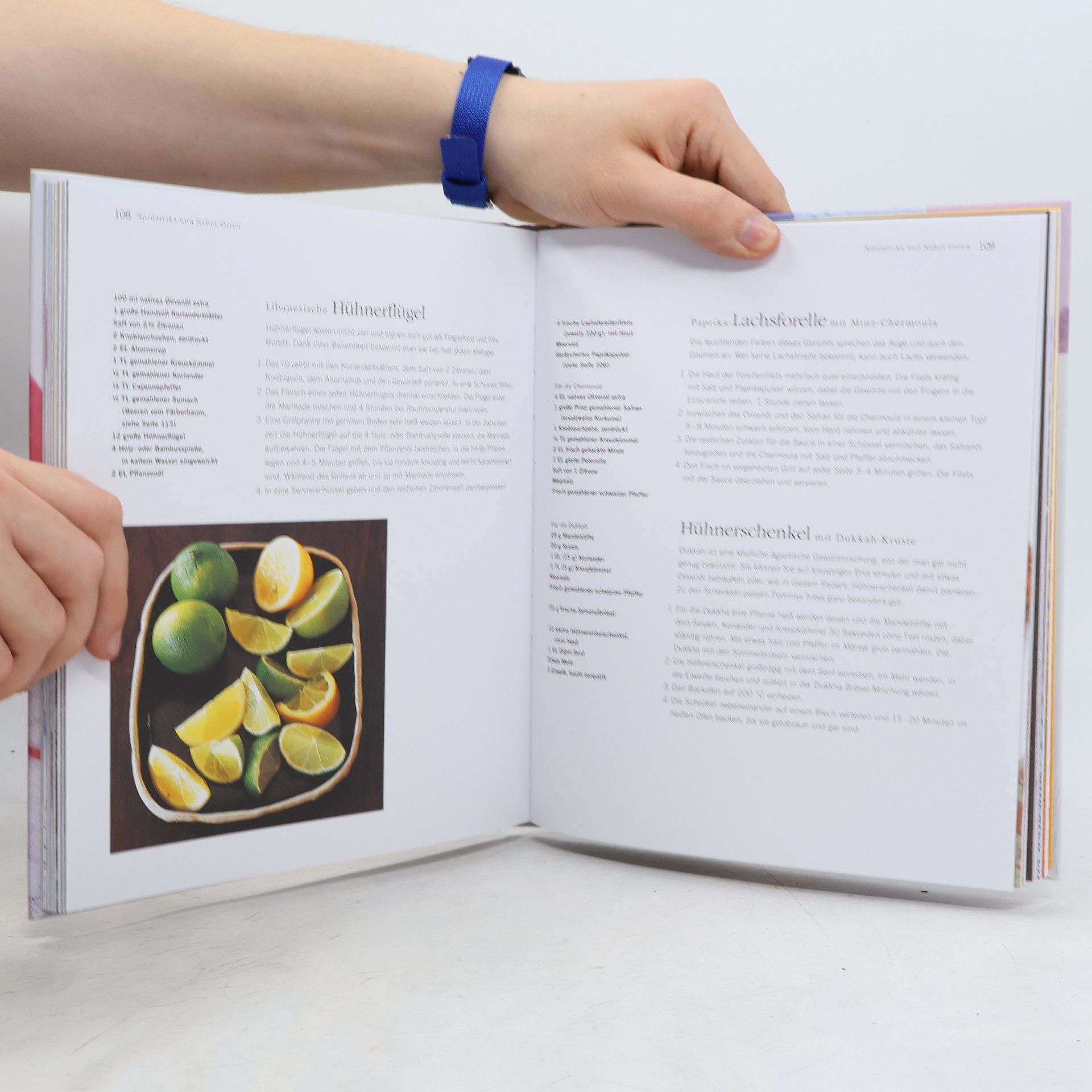 Paul Gayler Fingerfood für Genießer