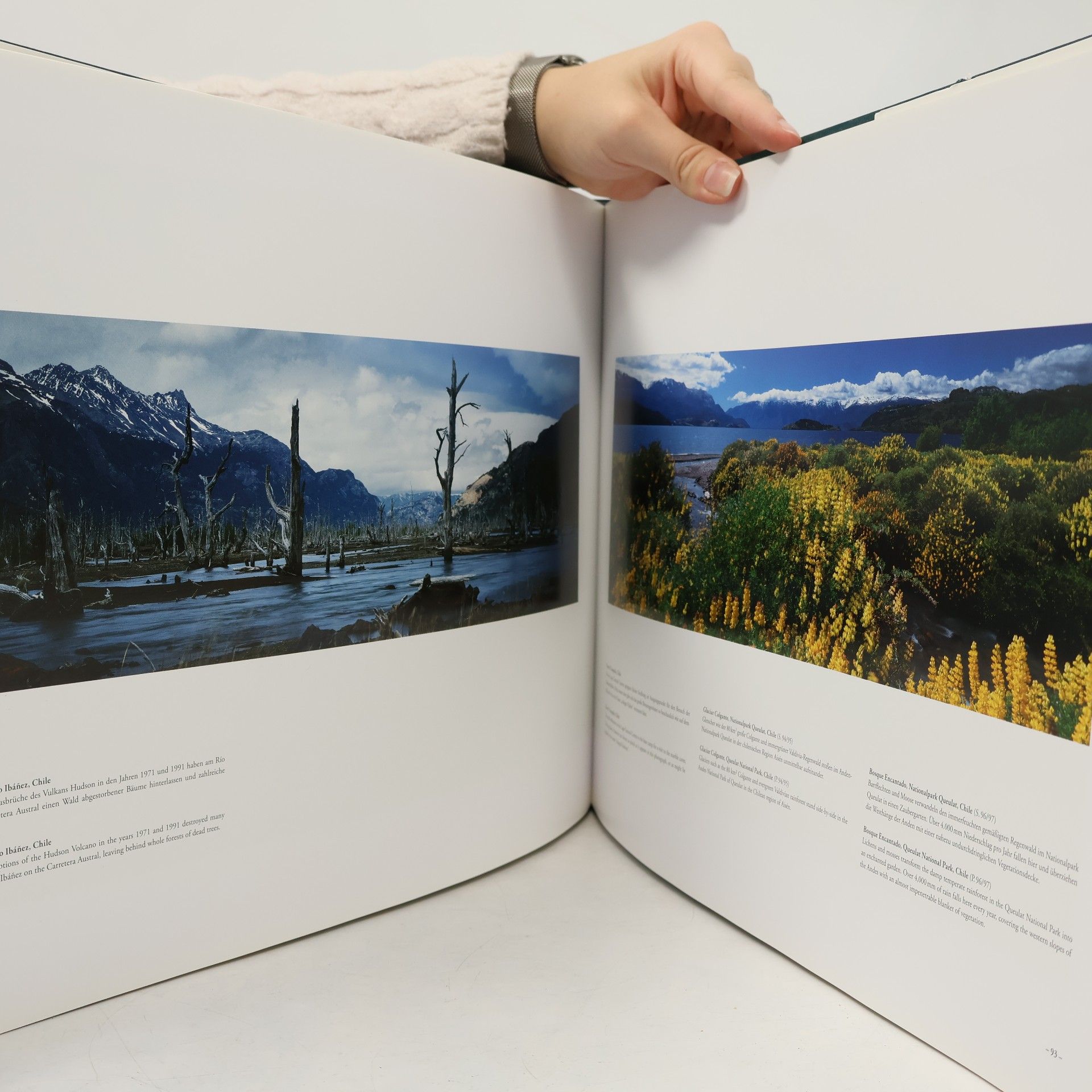 Markus Renner Patagonia-Panorama