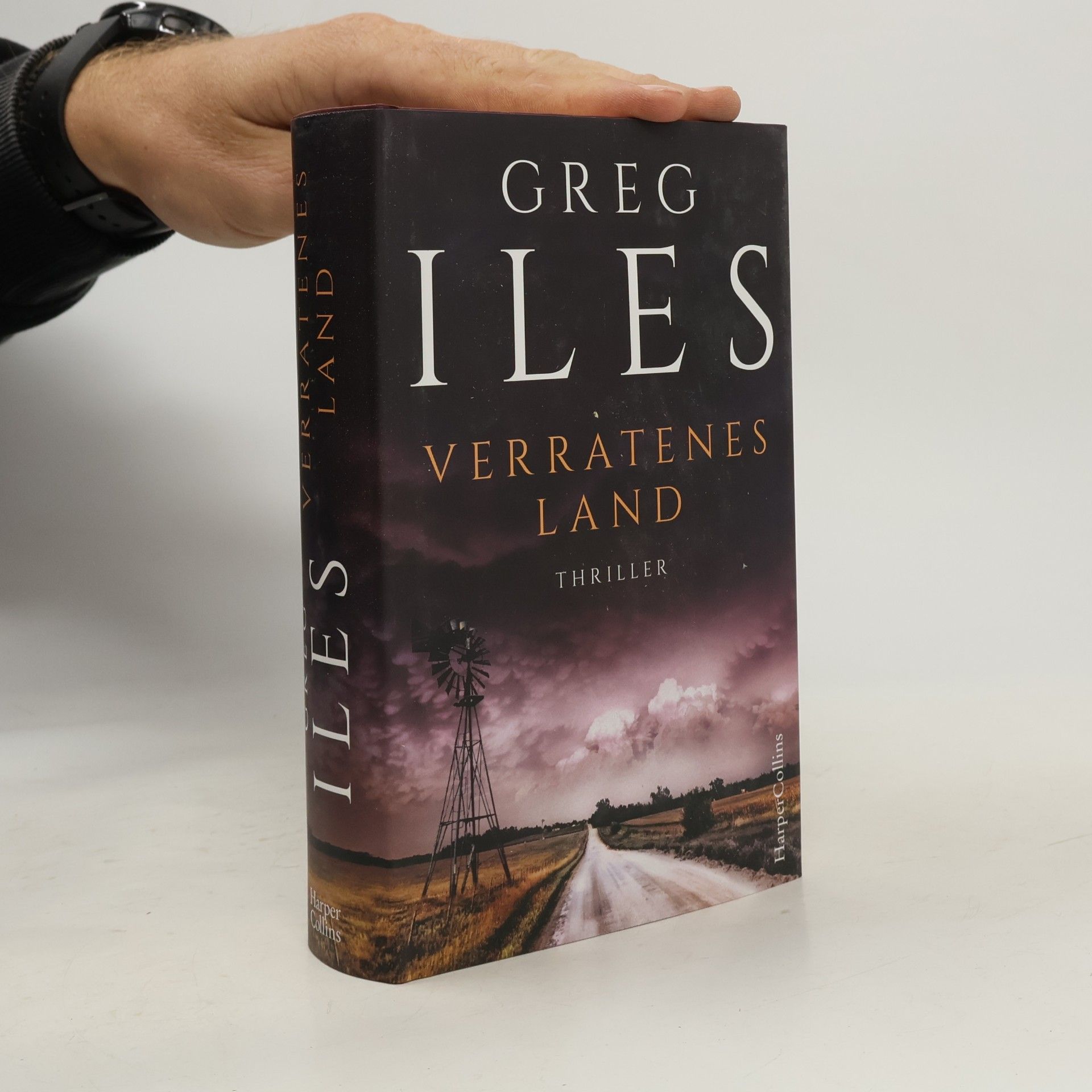 Greg Iles Verratenes Land