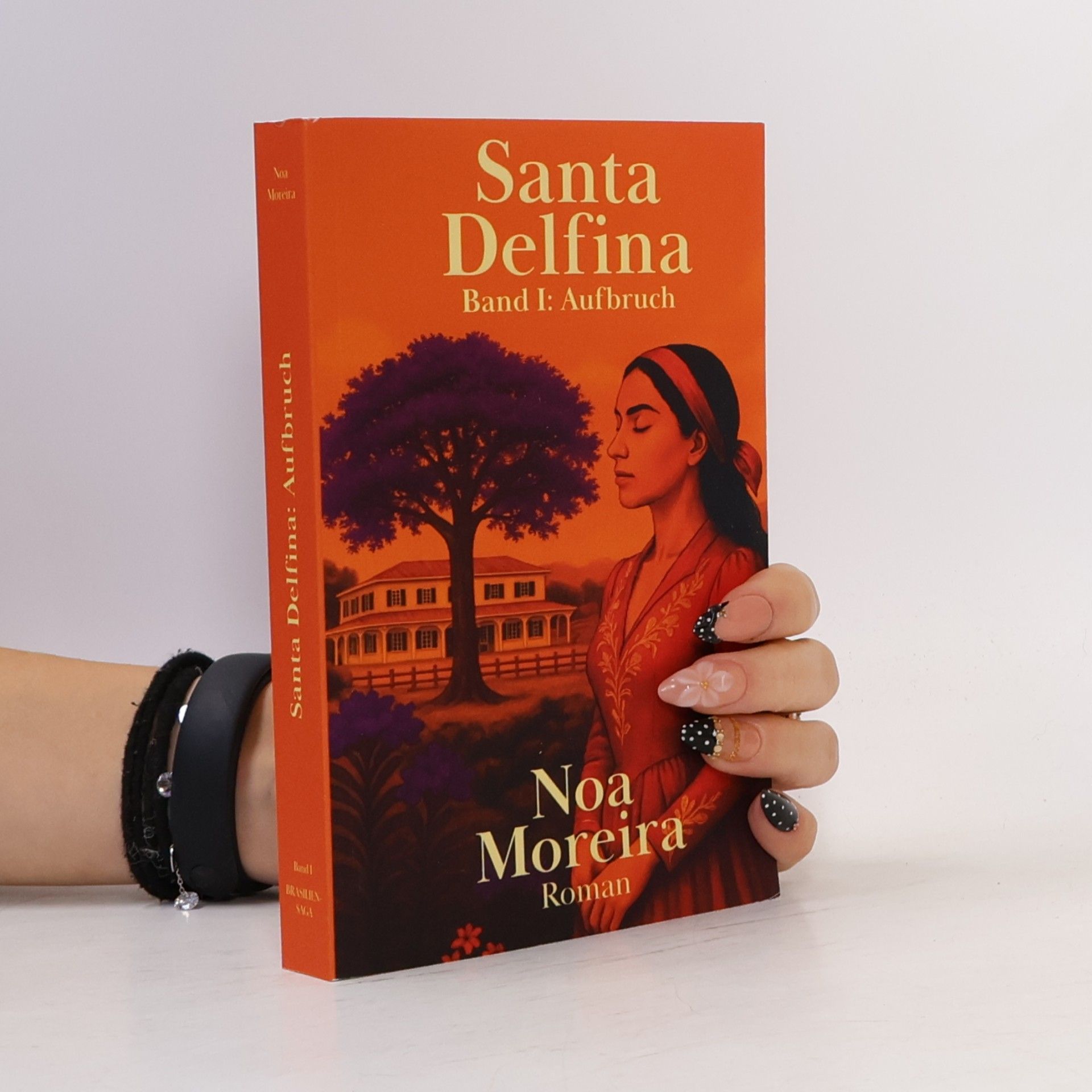Die Brasilien-Saga - 1: Santa Delfina: Aufbruch