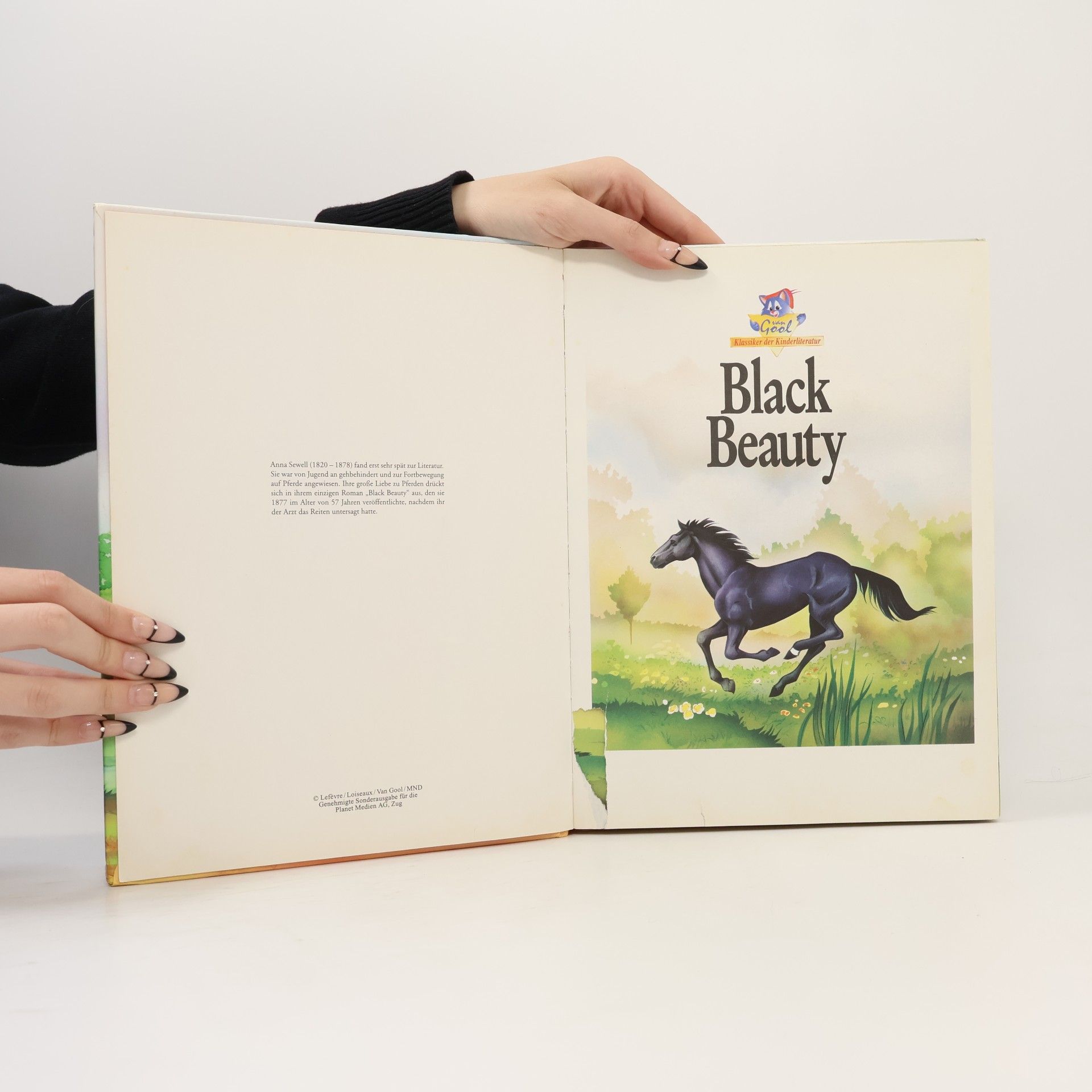 Maria Andreas Black Beauty