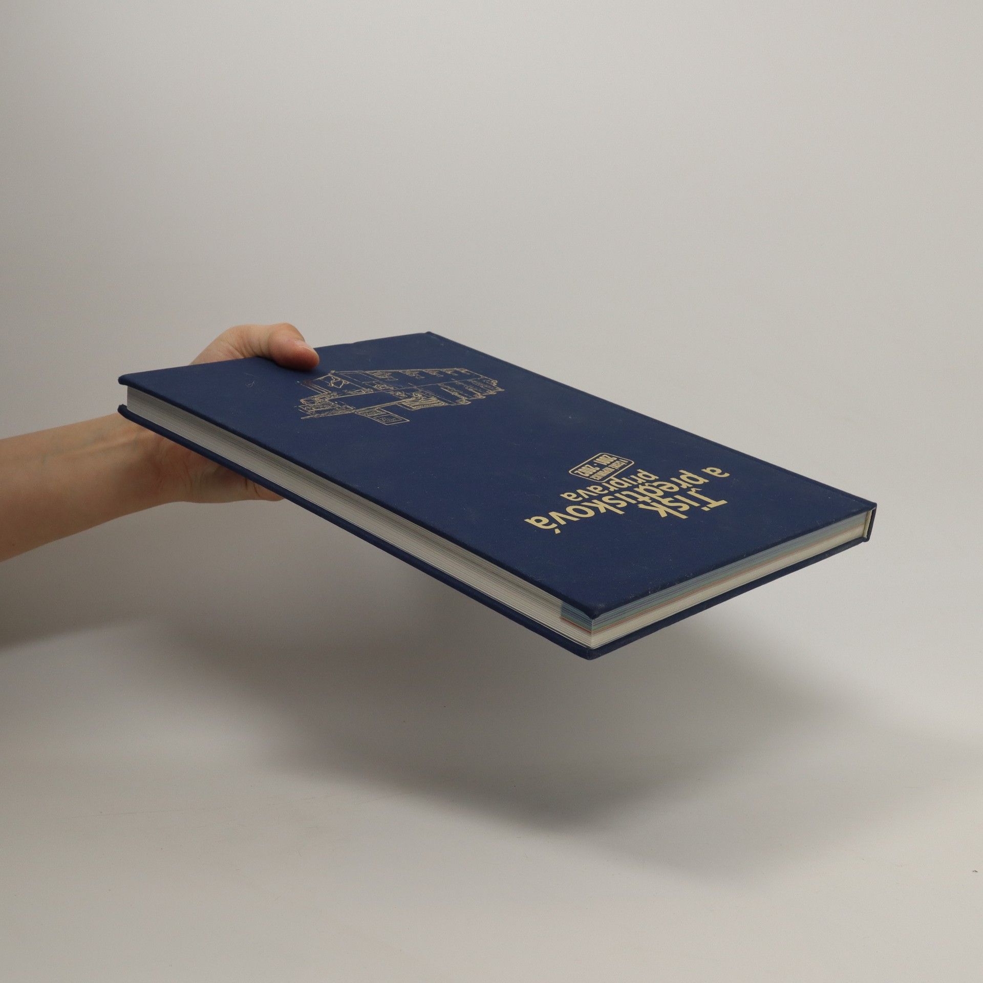 Autorenkollektiv Tisk a předtisková příprava v České republice 2001-2002