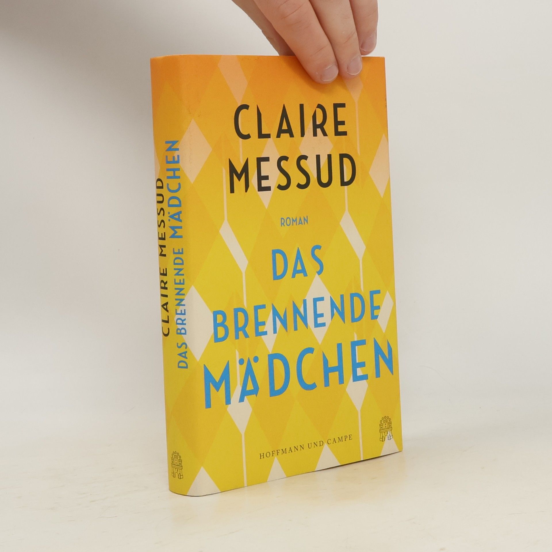 Claire Messud Das brennende Mädchen