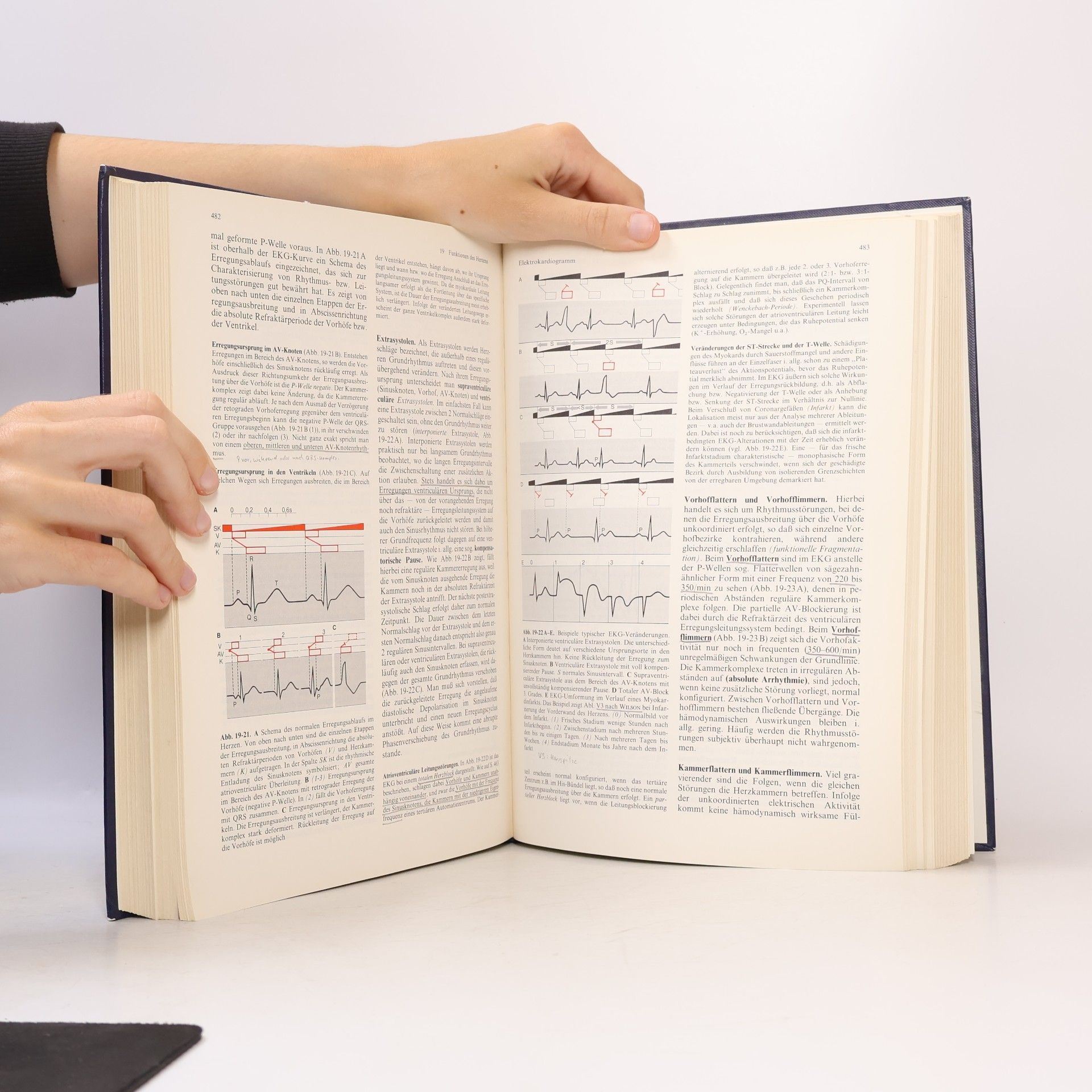 Gerhard Thews Physiologie des Menschen