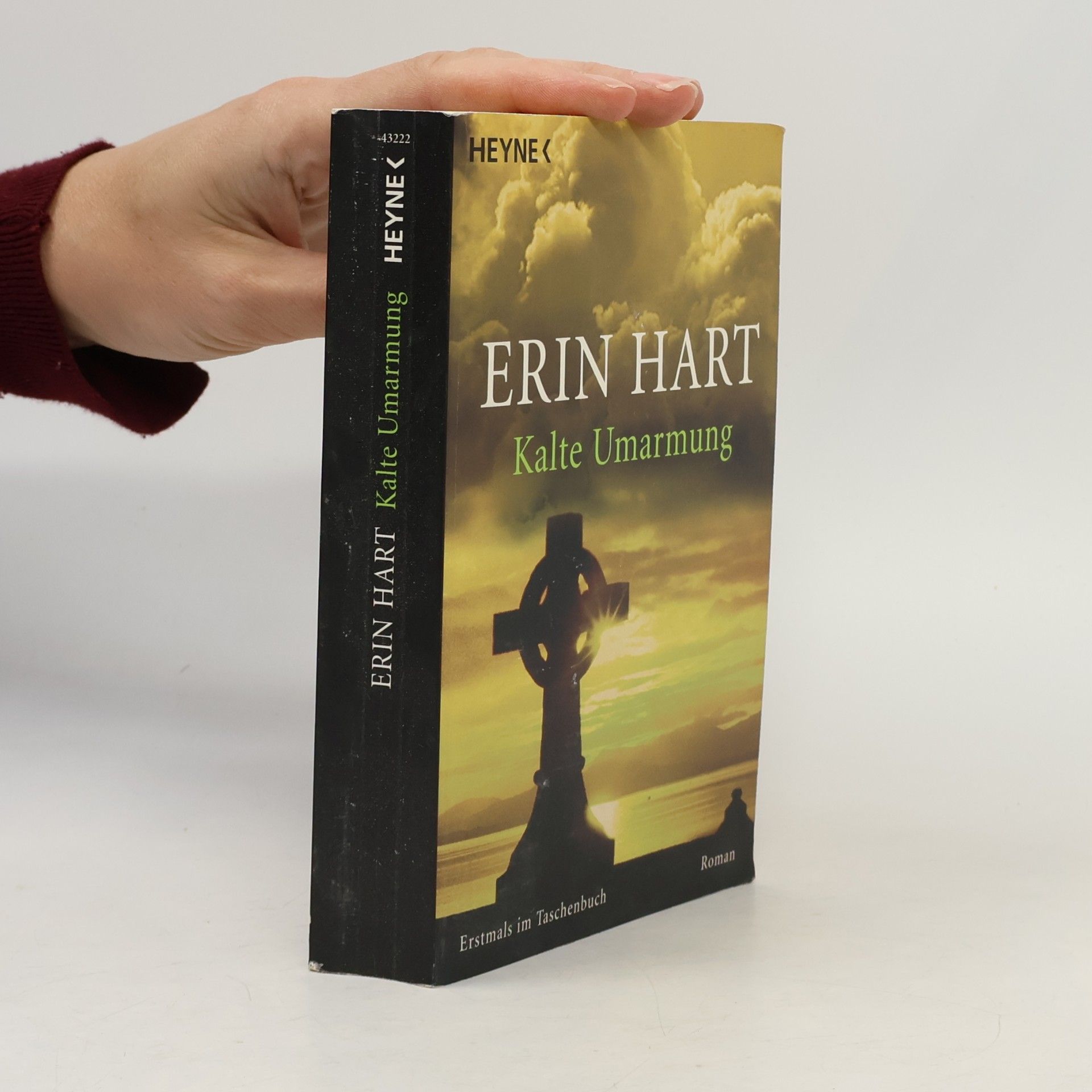 Erin Hart Kalte Umarmung