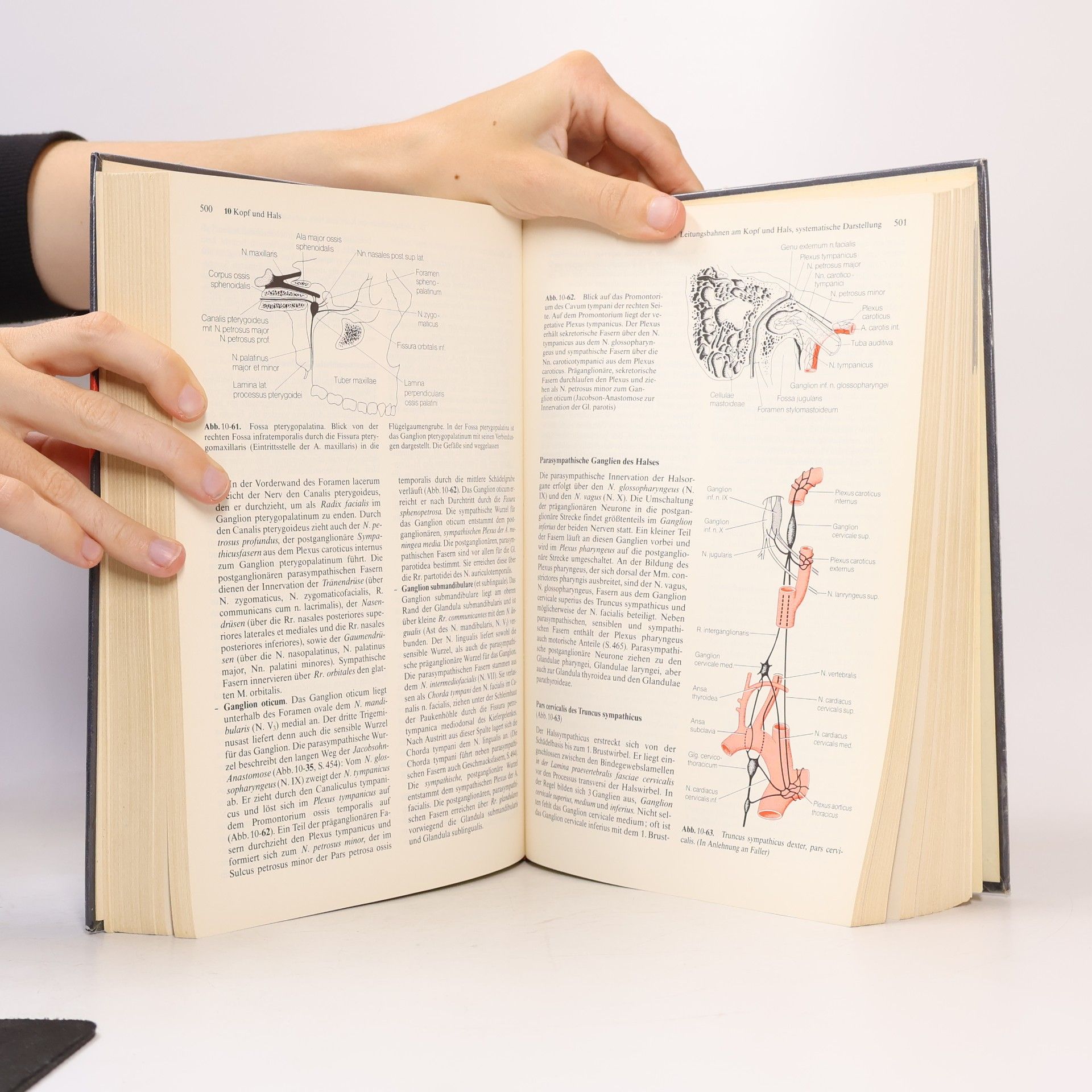 Theodor Heinrich Schiebler Anatomie