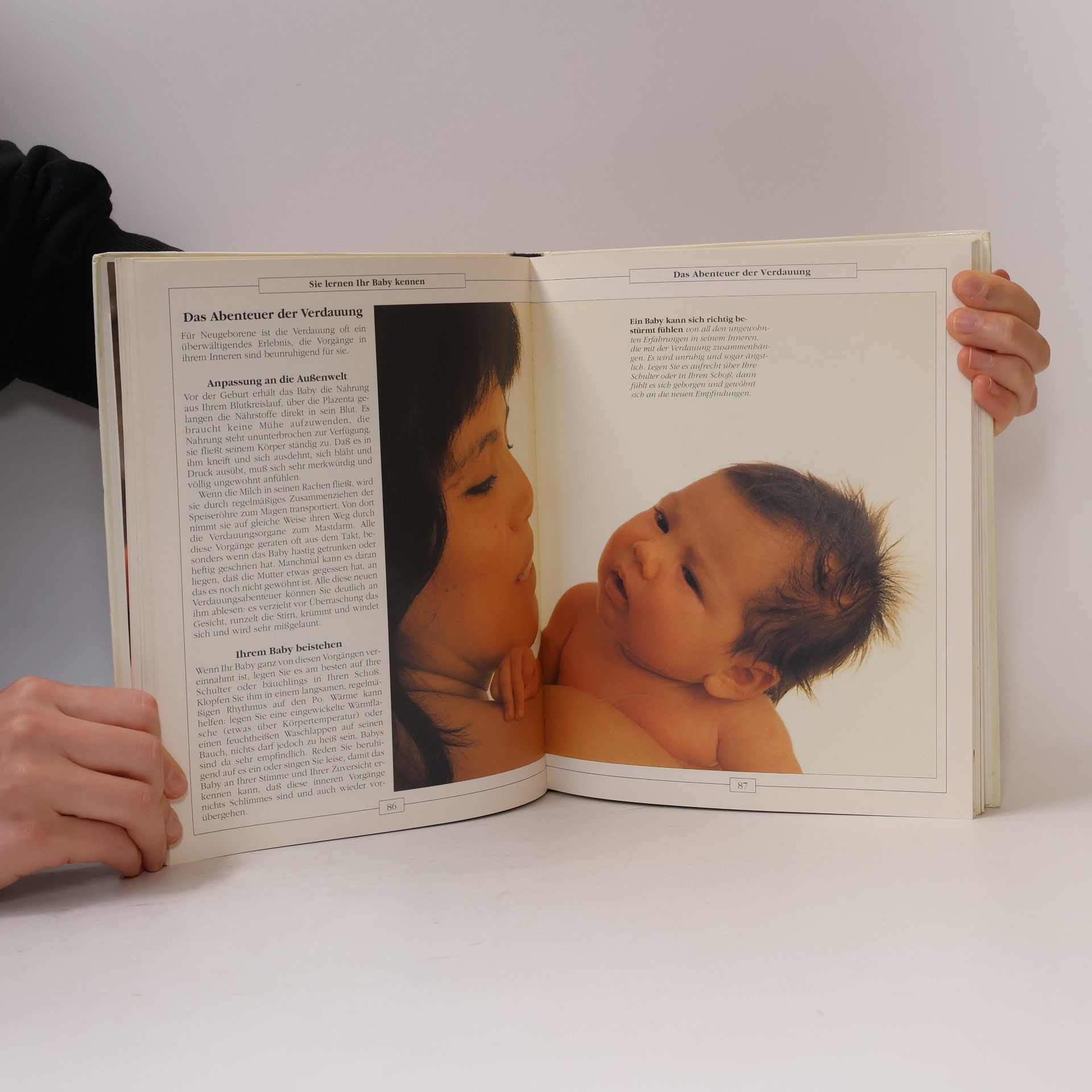 Sheila Kitzinger Ich stille mein Baby