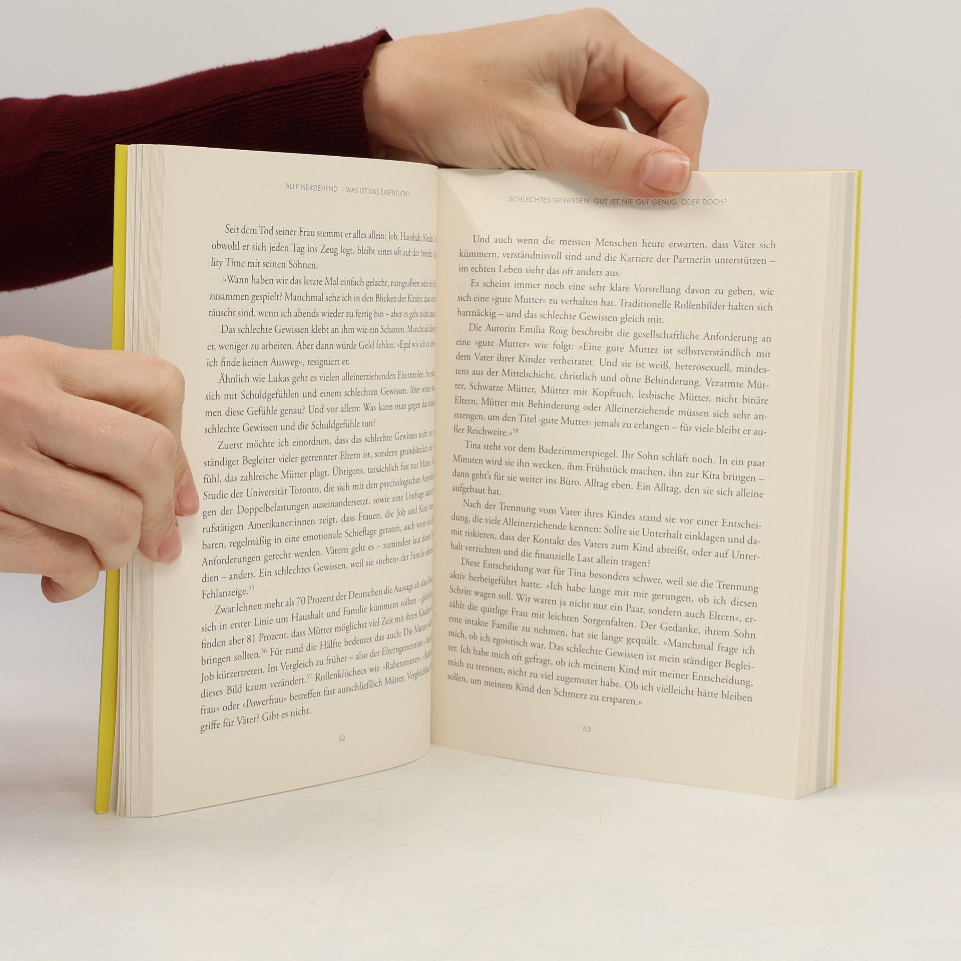 Sara Buschmann Das Buch, das du vor dem Alleinerziehen gelesen haben musst