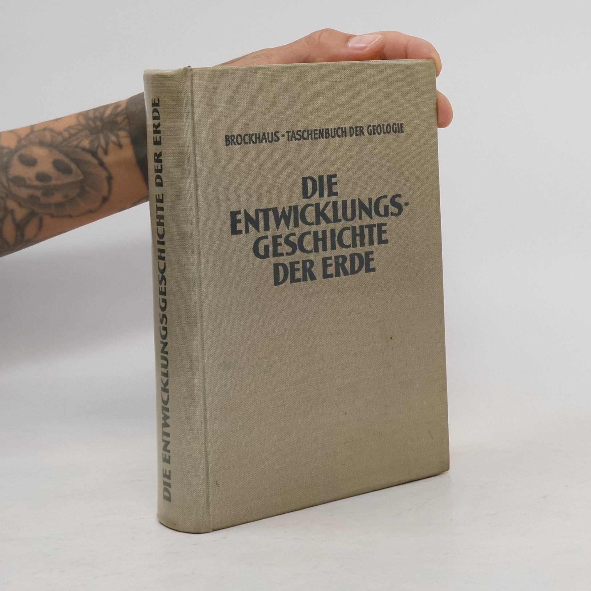 Die Entwicklungsgeschichte der Erde