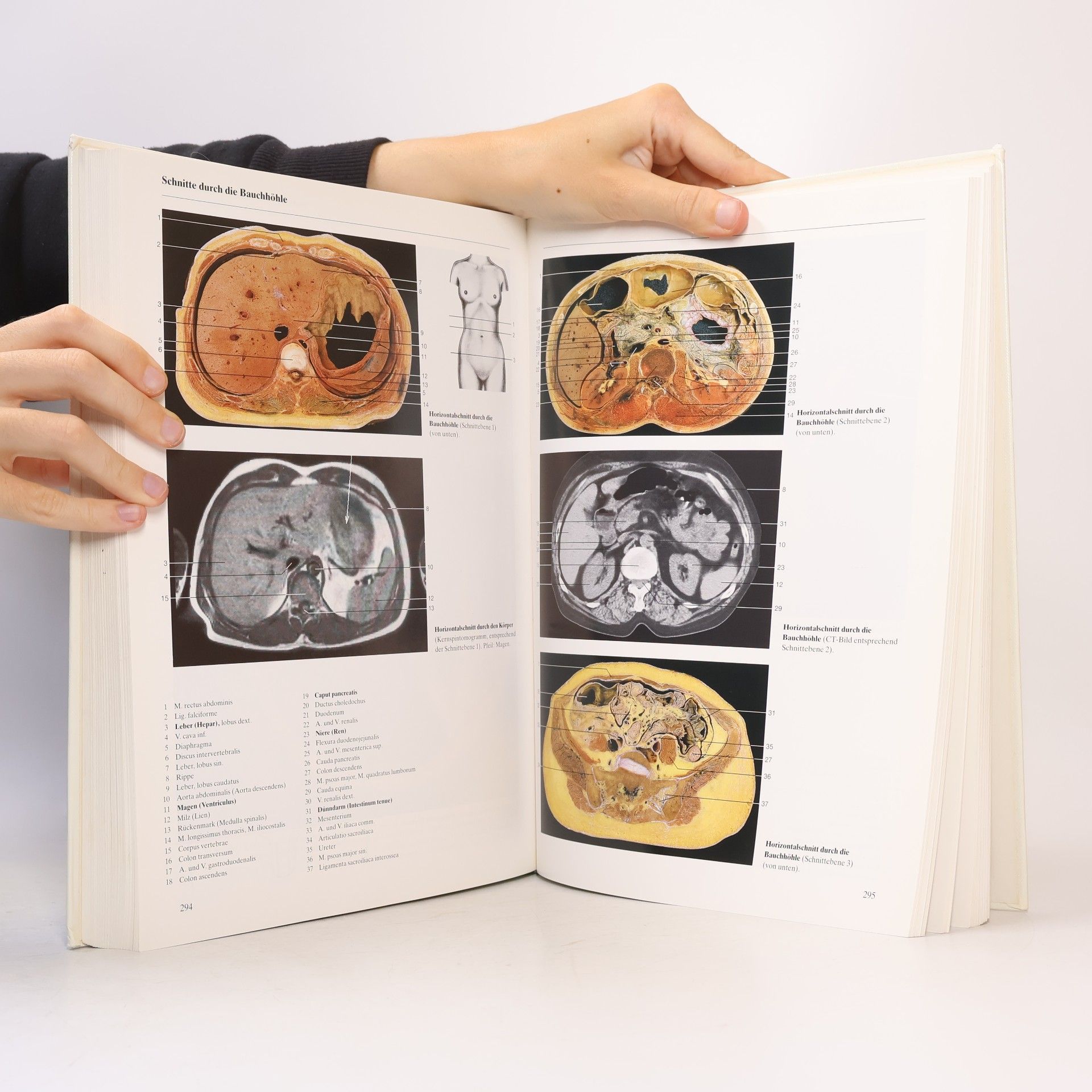 Johannes Wilhelm Rohen Anatomie des Menschen