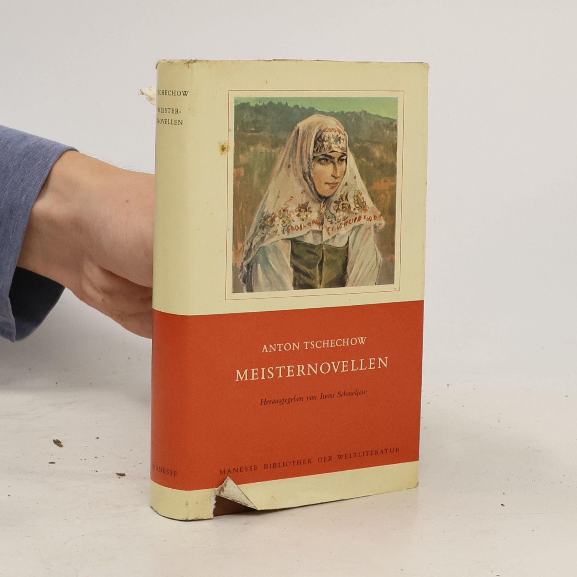 Anton Tchekhov Meisternovellen