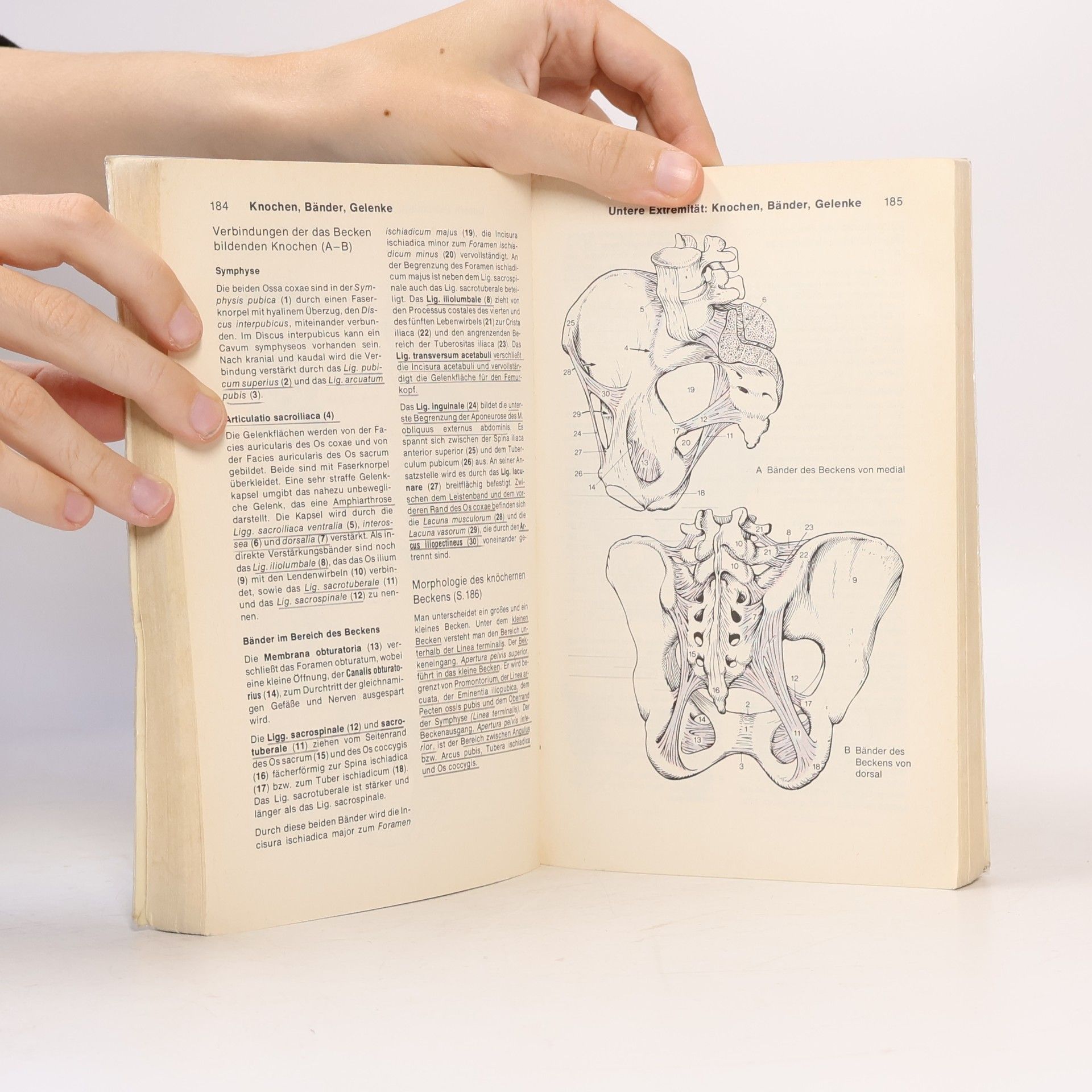 Werner Kahle Taschenatlas der Anatomie für Studium und Praxis