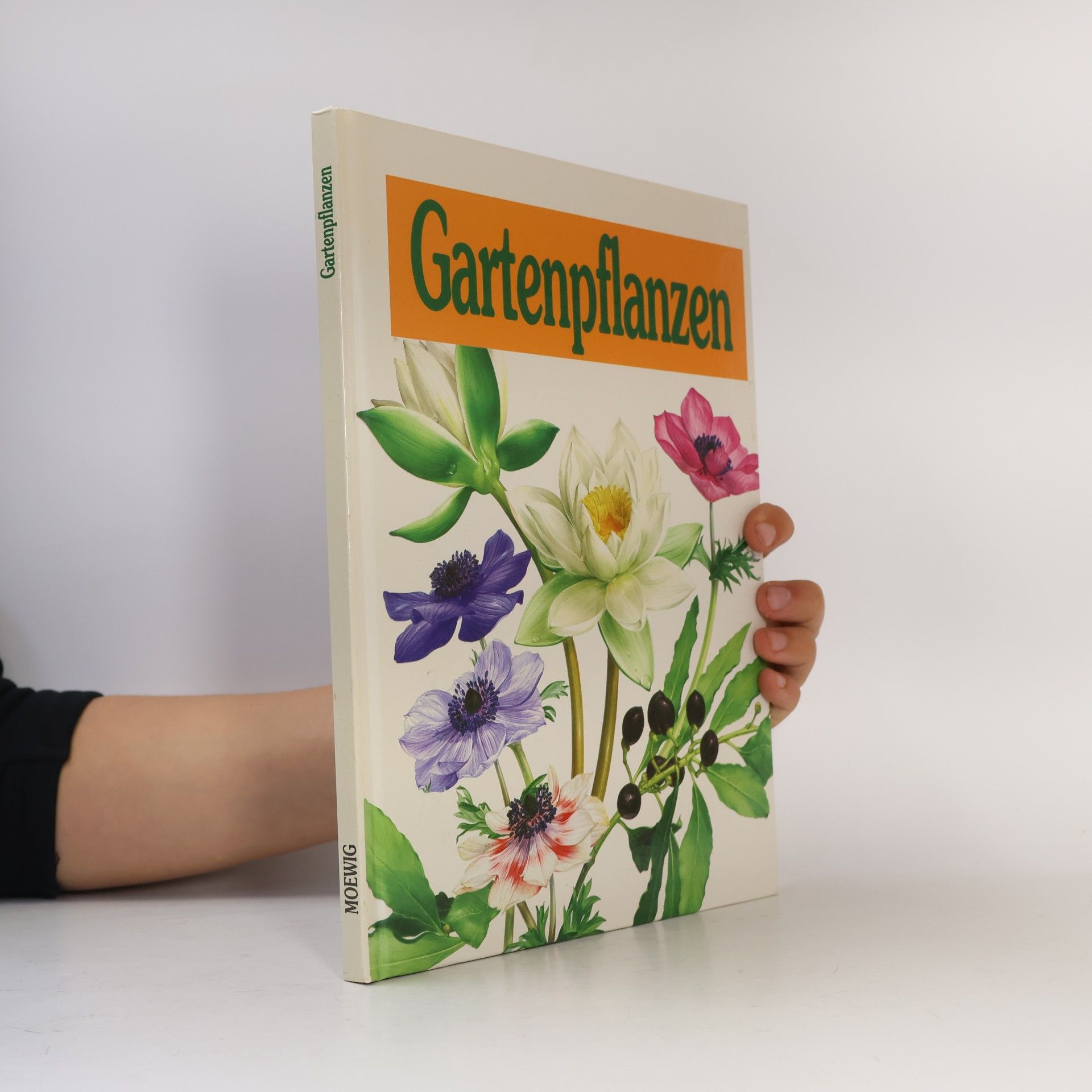 Doris Gottwald Gartenpflanzen