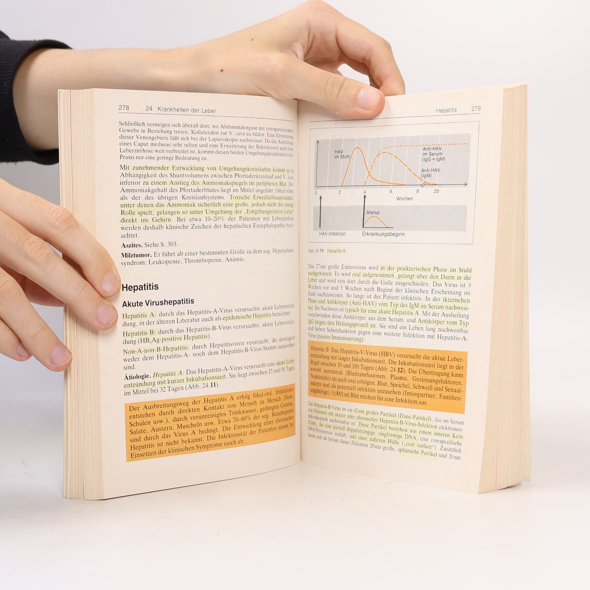 Gotthard Schettler Innere Medizin