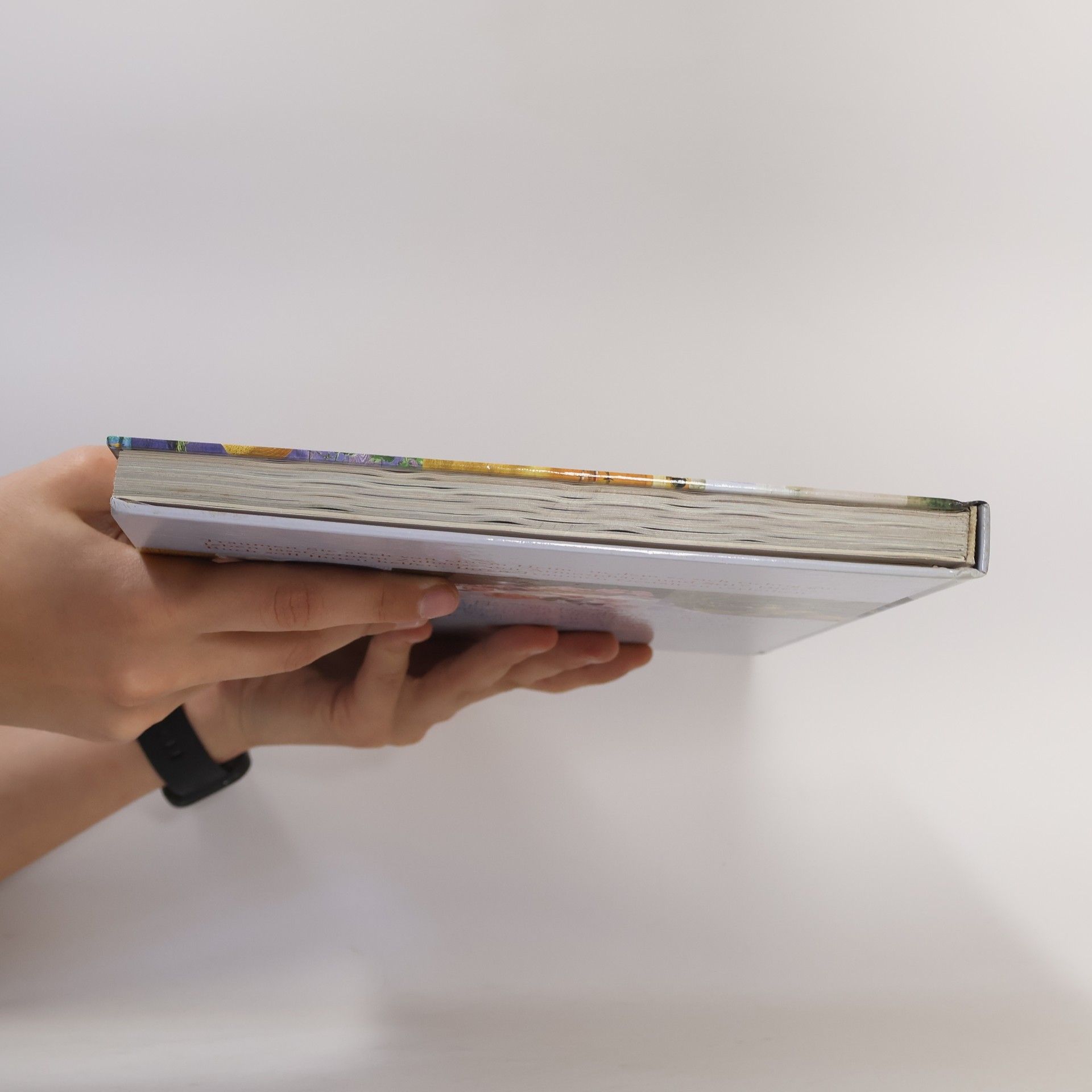 Autorenkollektiv Einrichten und Dekorieren