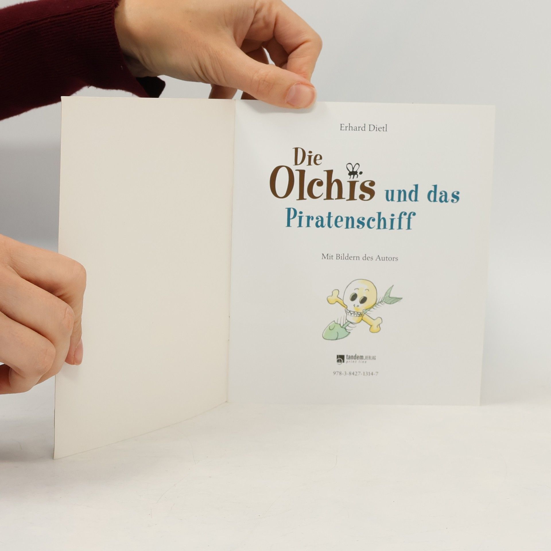 Erhard Dietl Die Olchis und das Piratenschiff