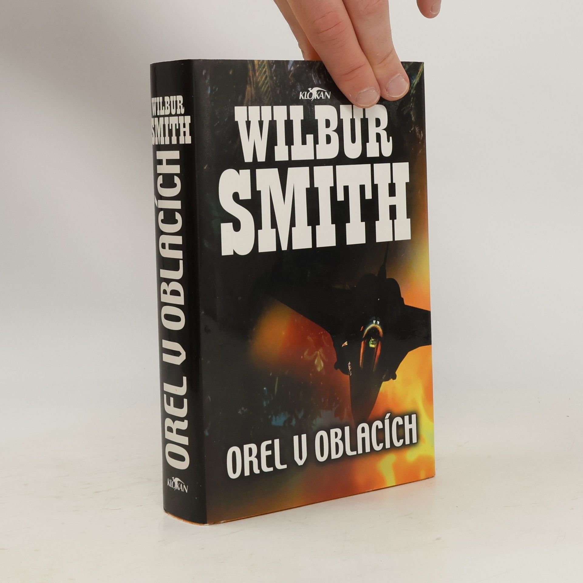 Orel v oblacích